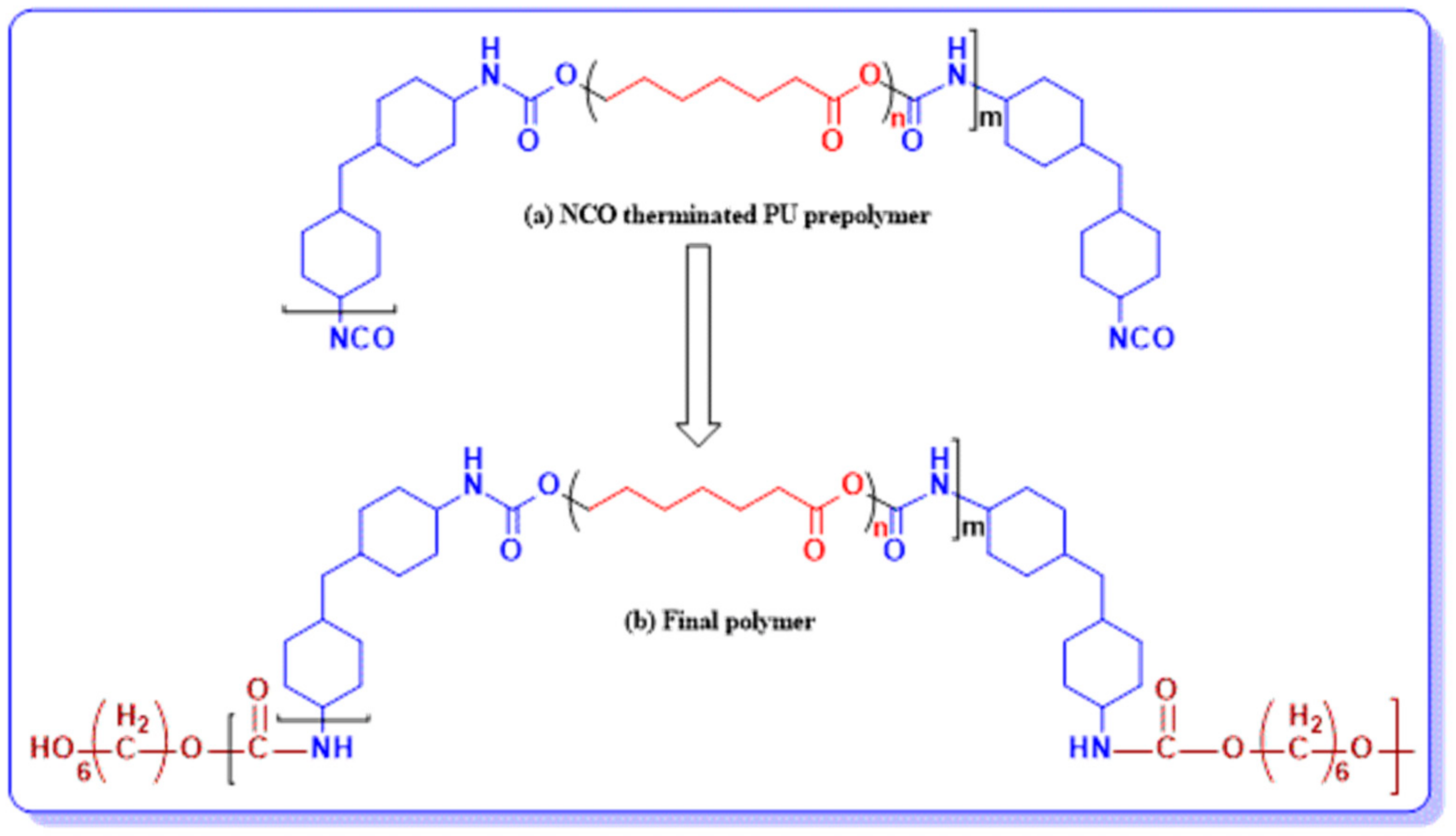 Polymers 13 02060 g001