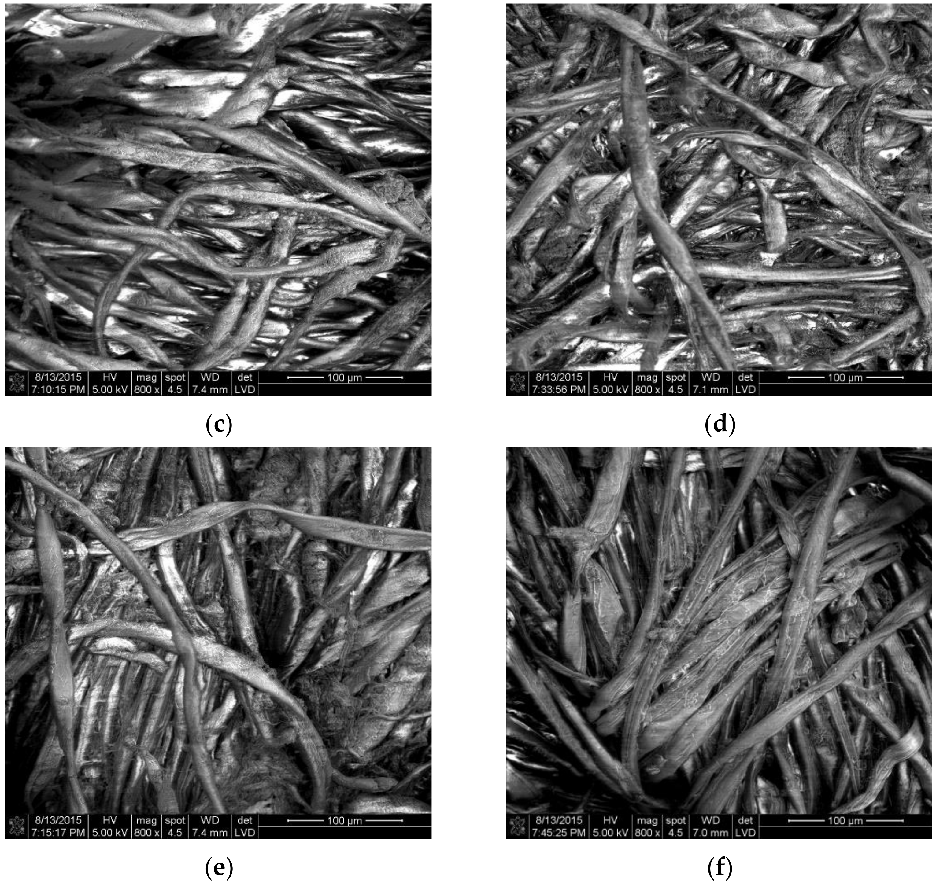 Polymers 13 02066 g004b