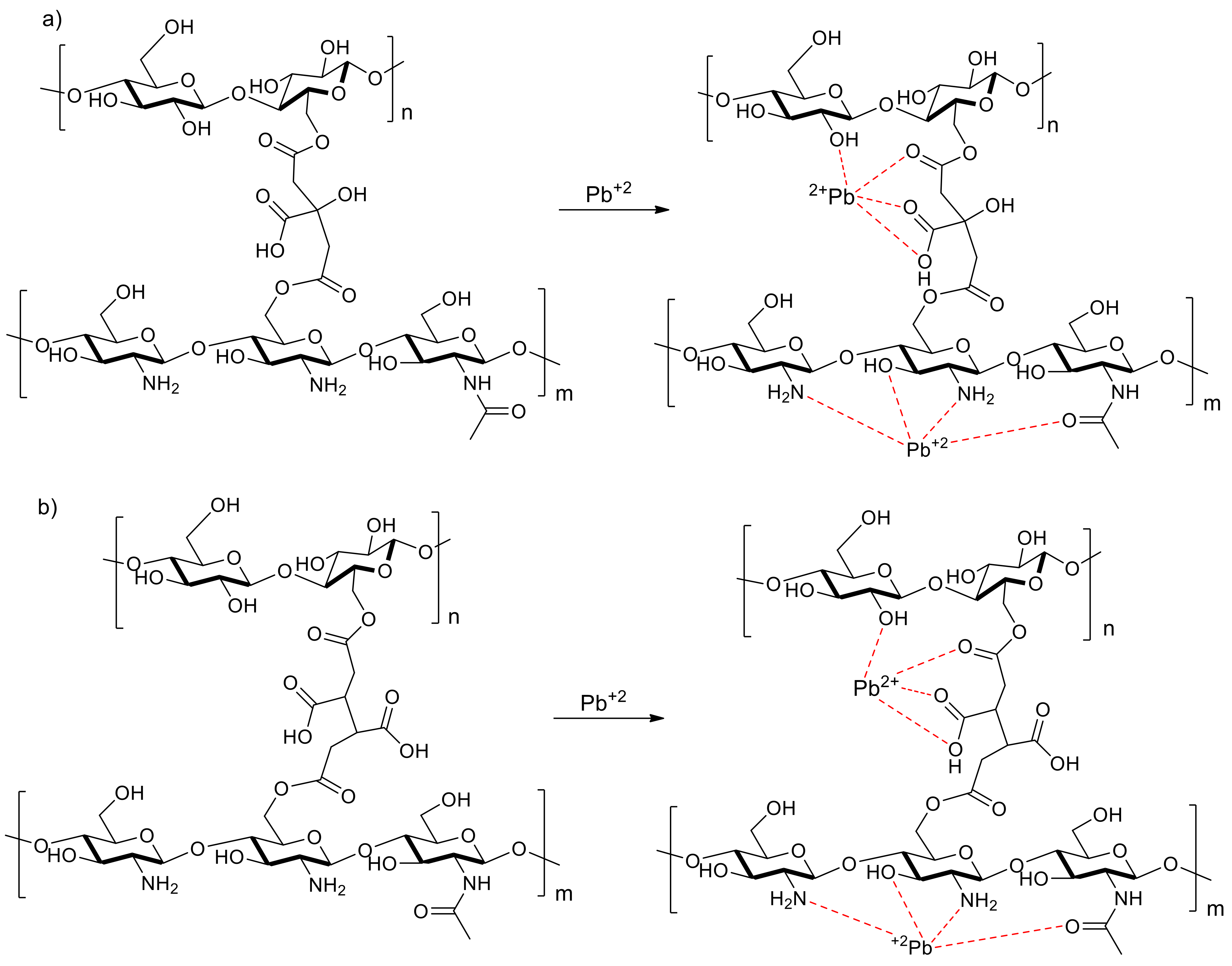 Polymers 13 02066 sch001