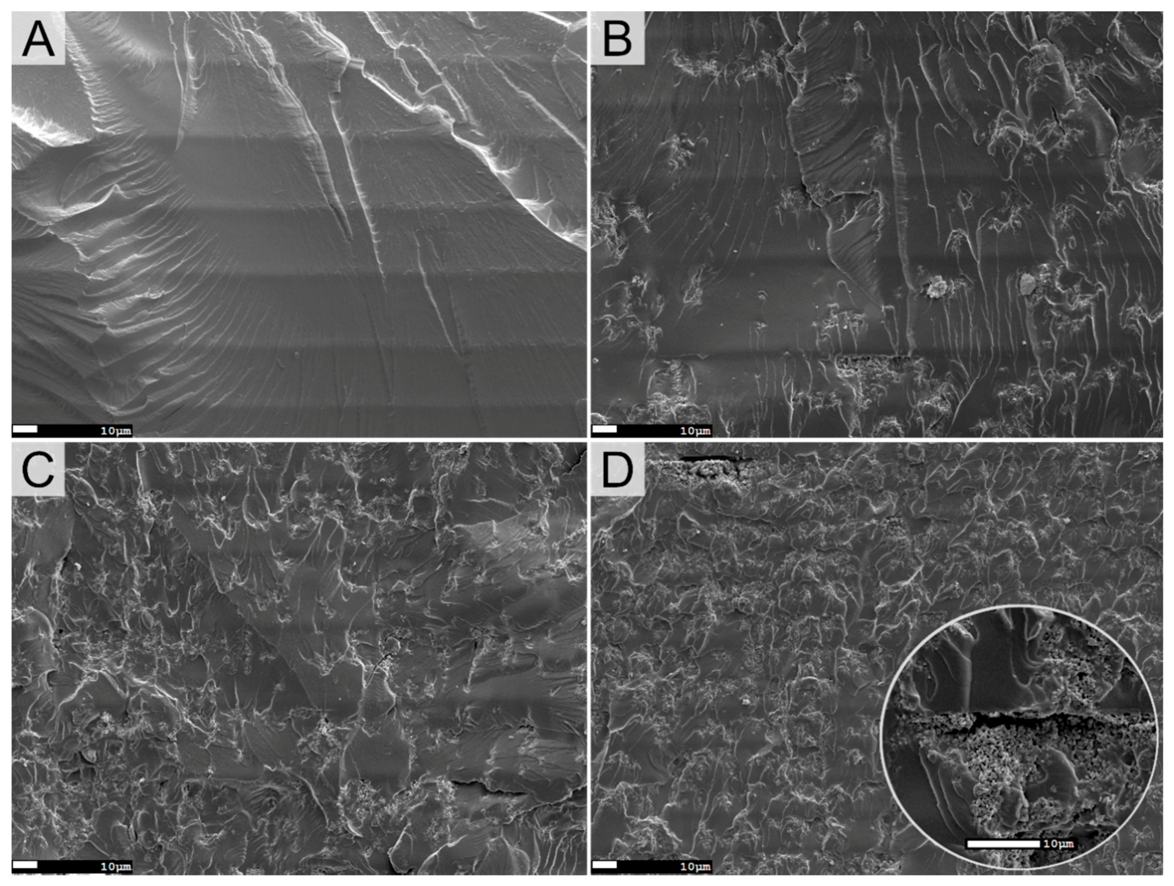 Polymers 13 02068 g003