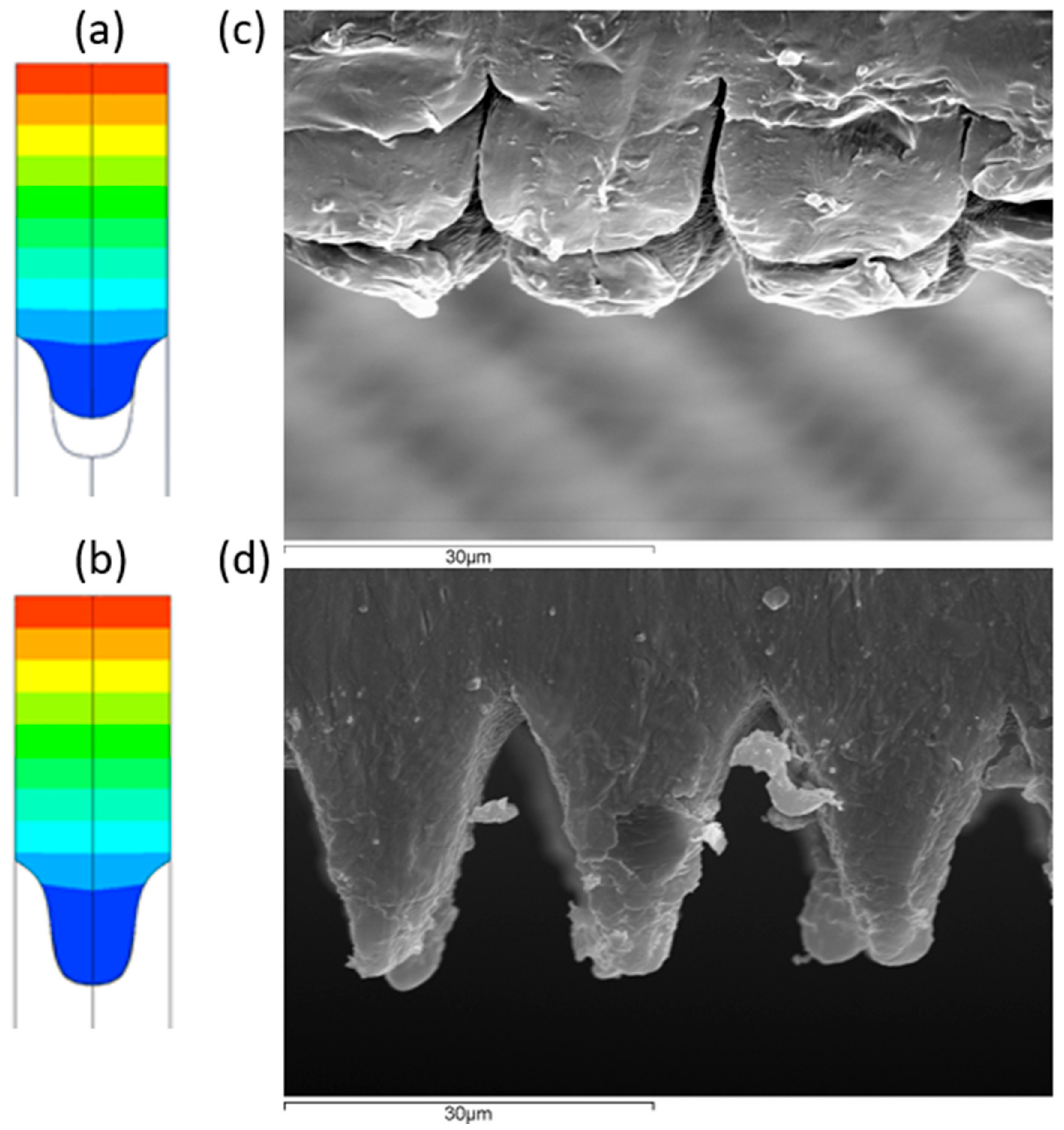 Polymers 13 02069 g008