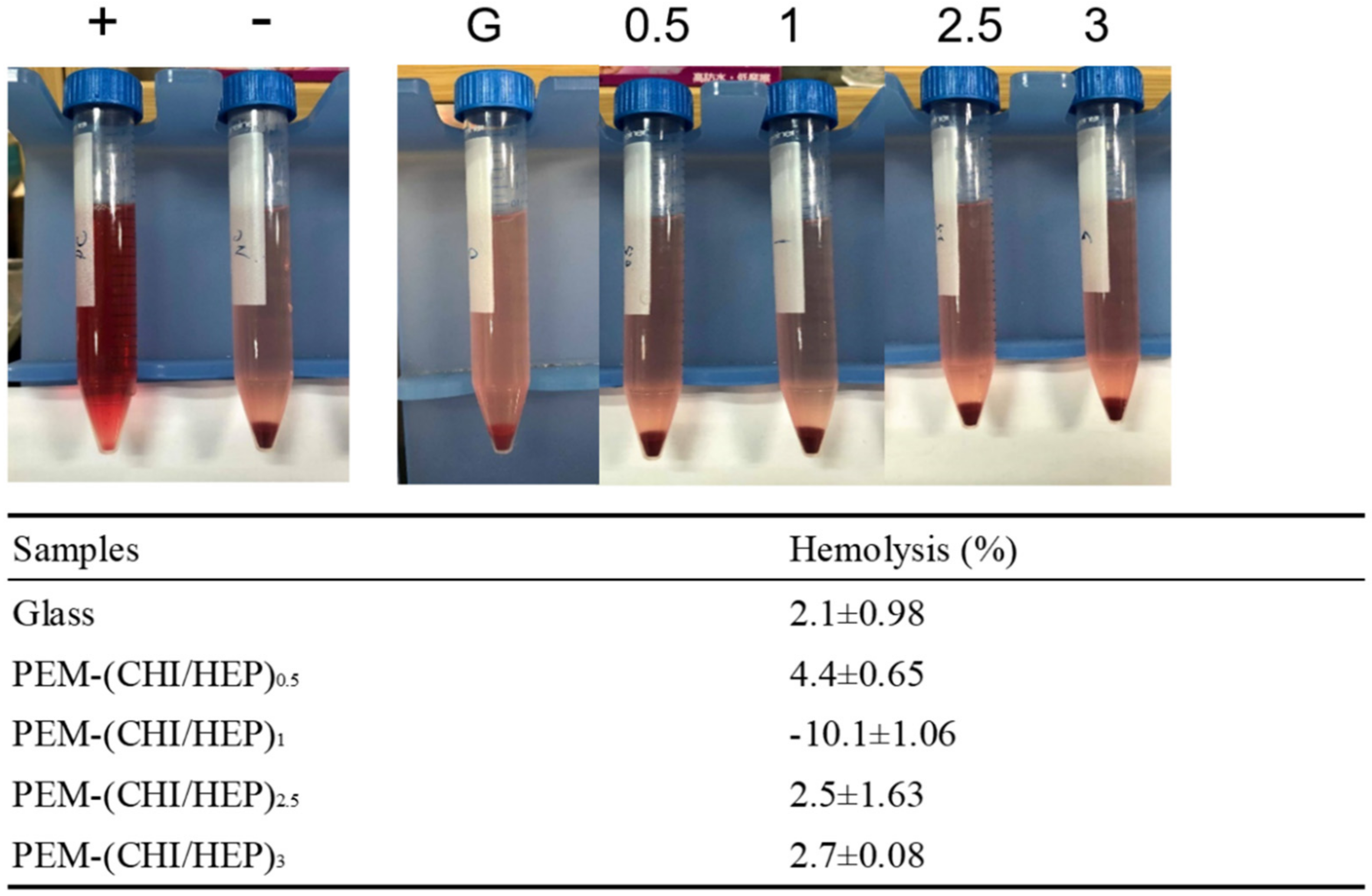 Polymers 13 02070 g005