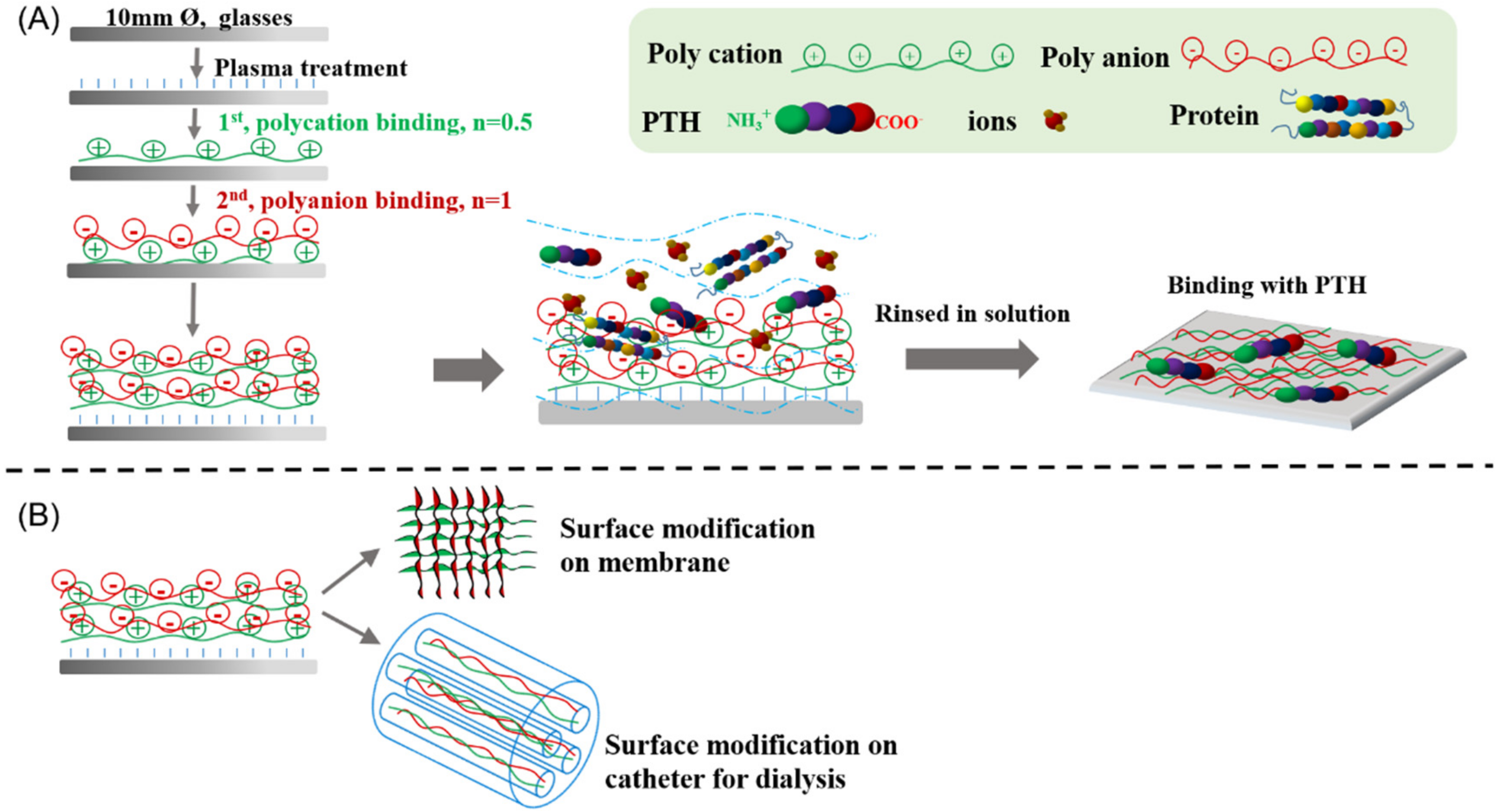 Polymers 13 02070 sch001