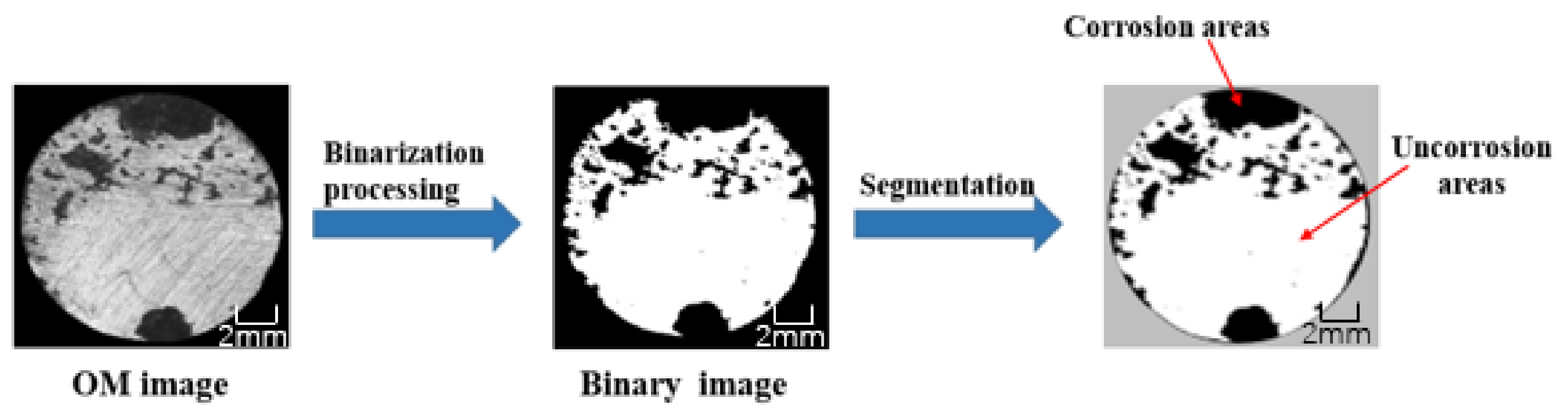 Polymers 13 02072 g002