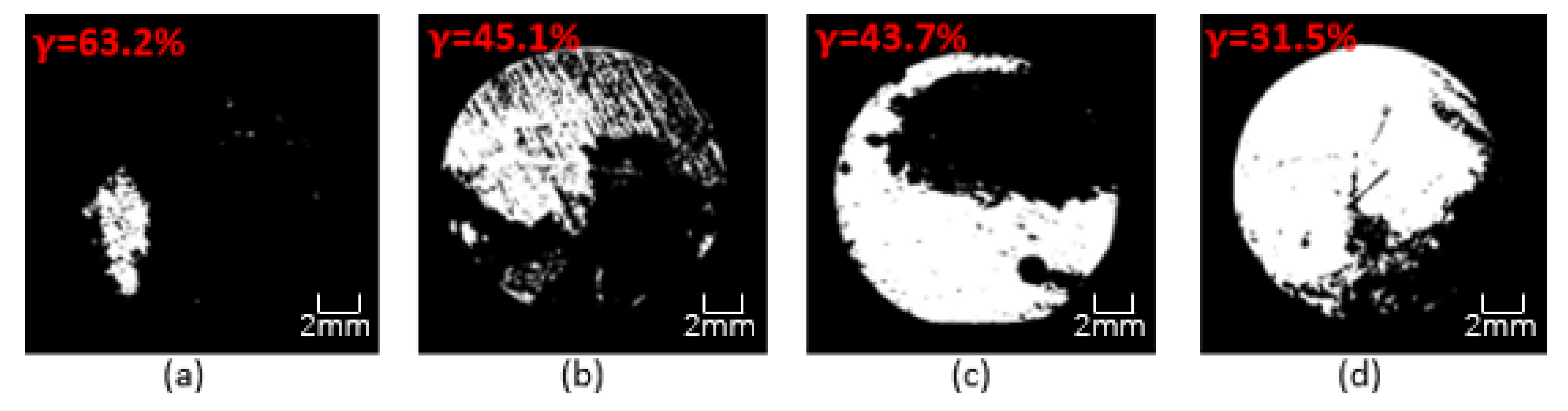 Polymers 13 02072 g019