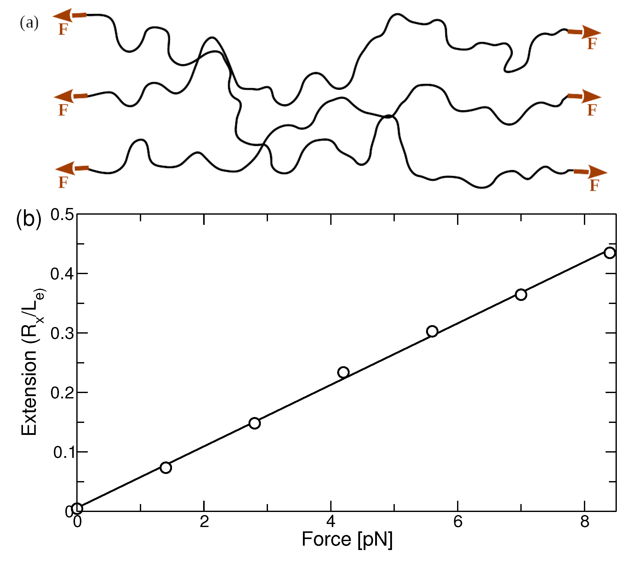 Polymers 13 02078 g002