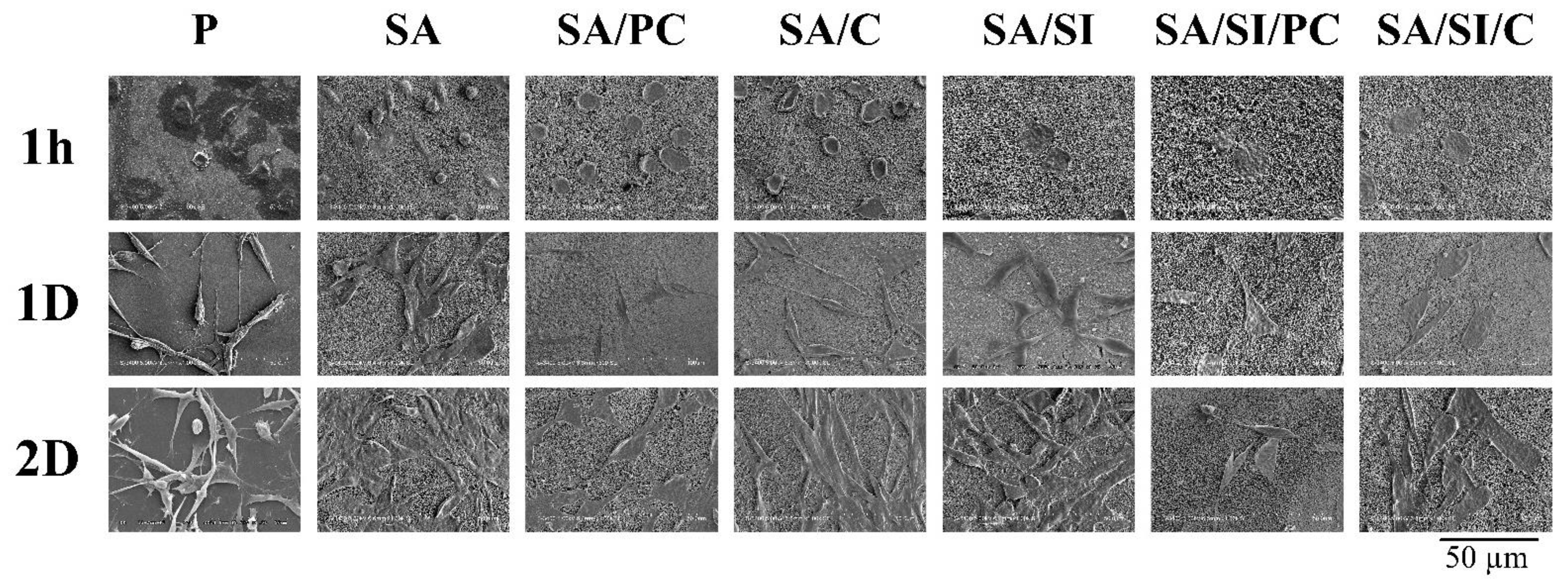 Polymers 13 02081 g008