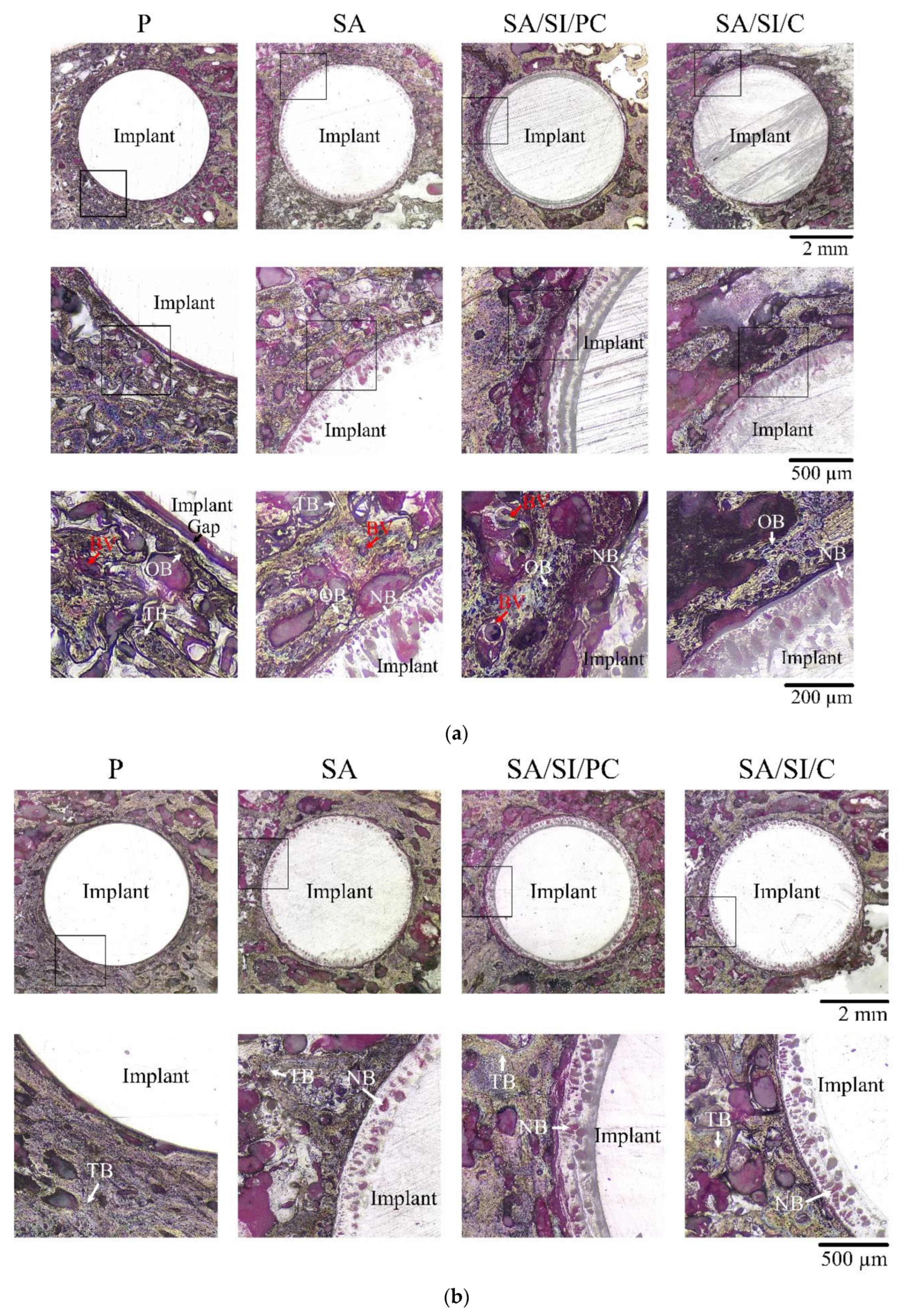 Polymers 13 02081 g012a