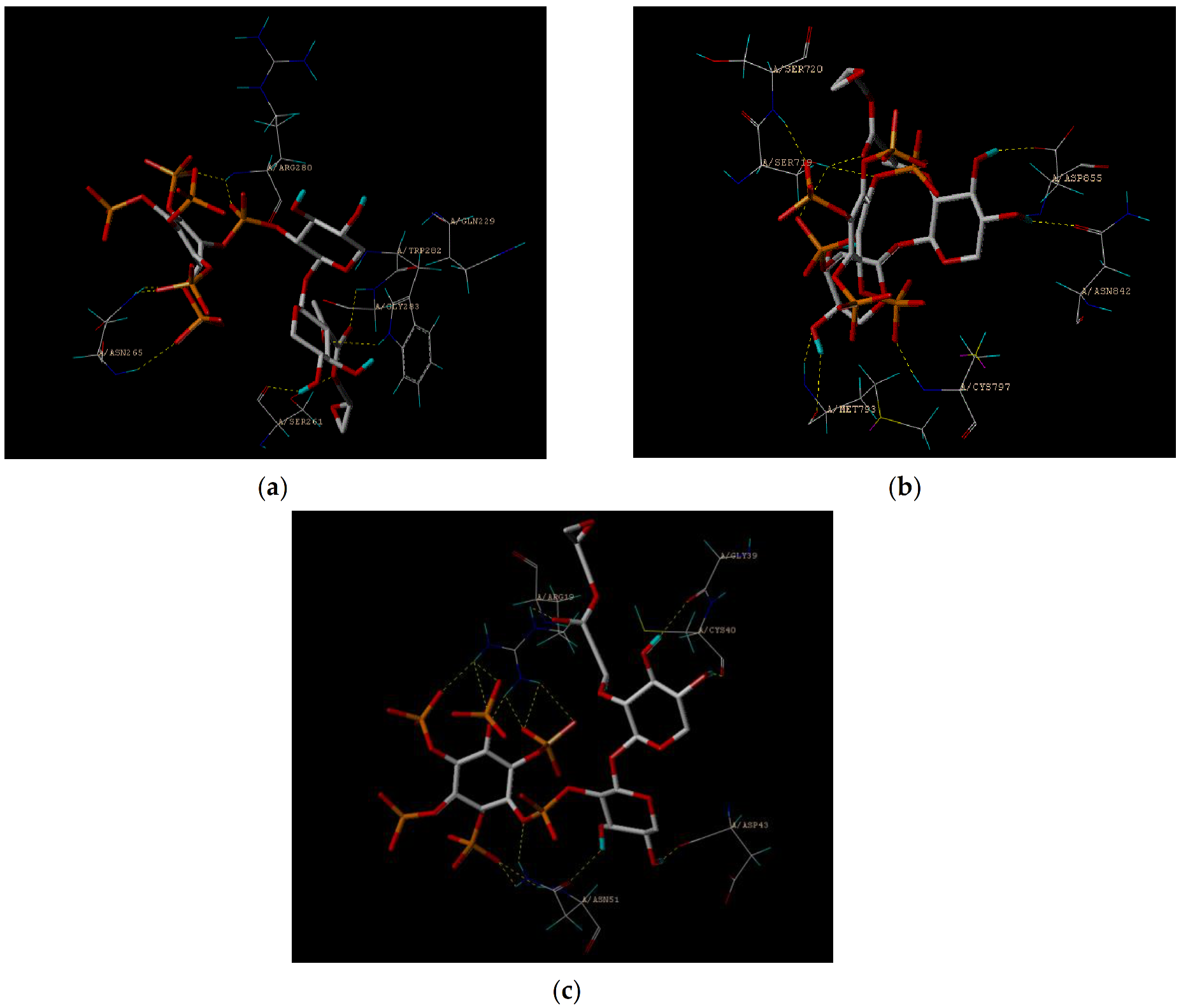Polymers 13 02084 g009