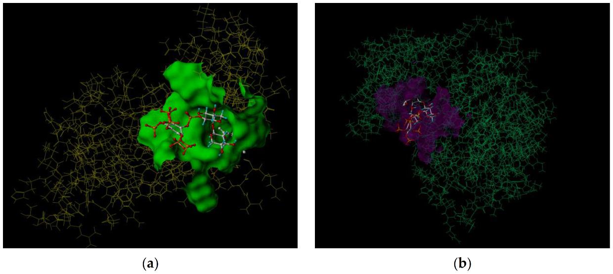 Polymers 13 02084 g010a