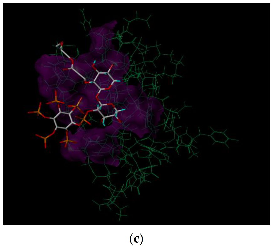 Polymers 13 02084 g010b