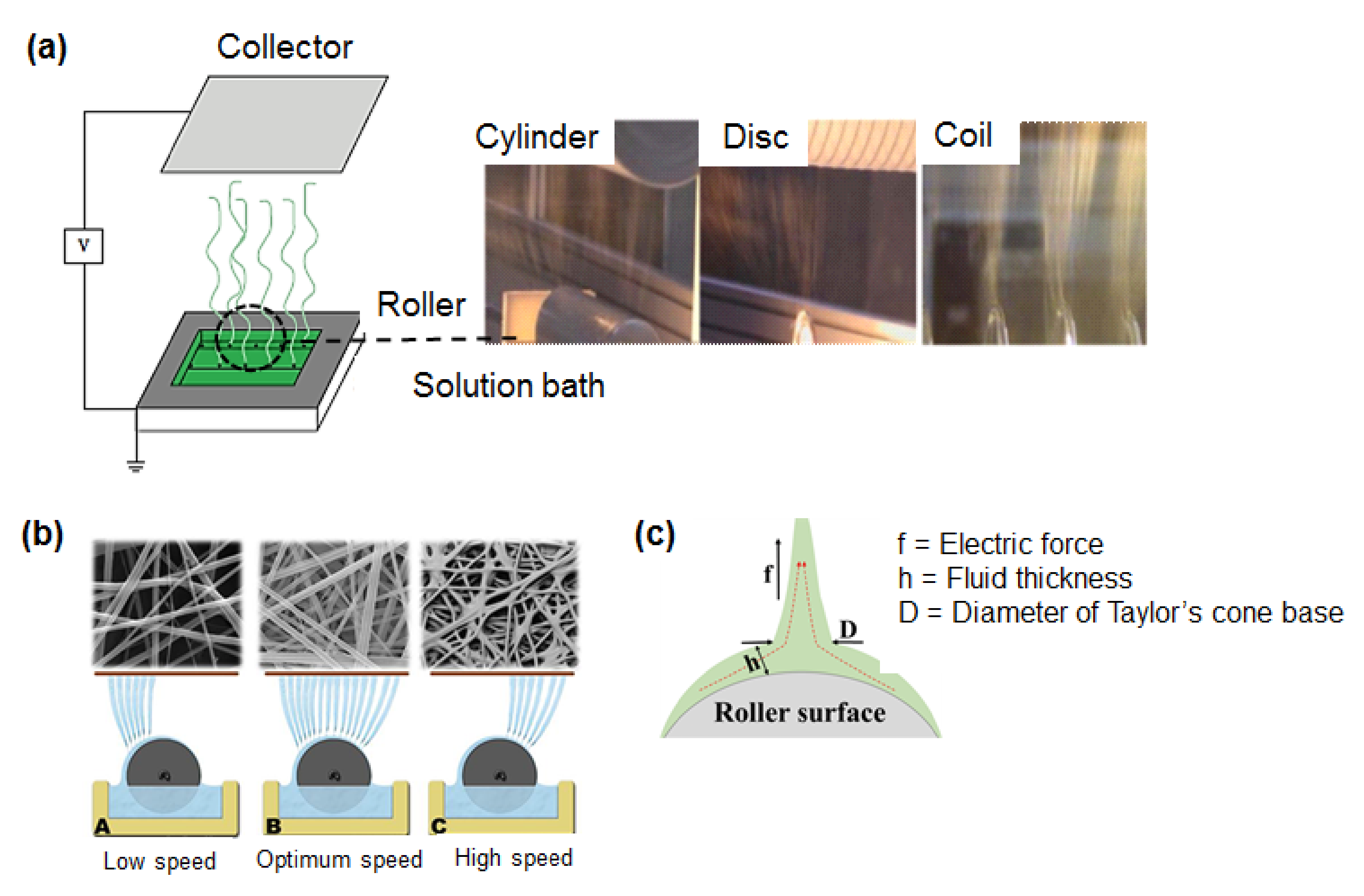 Polymers 13 02087 g003