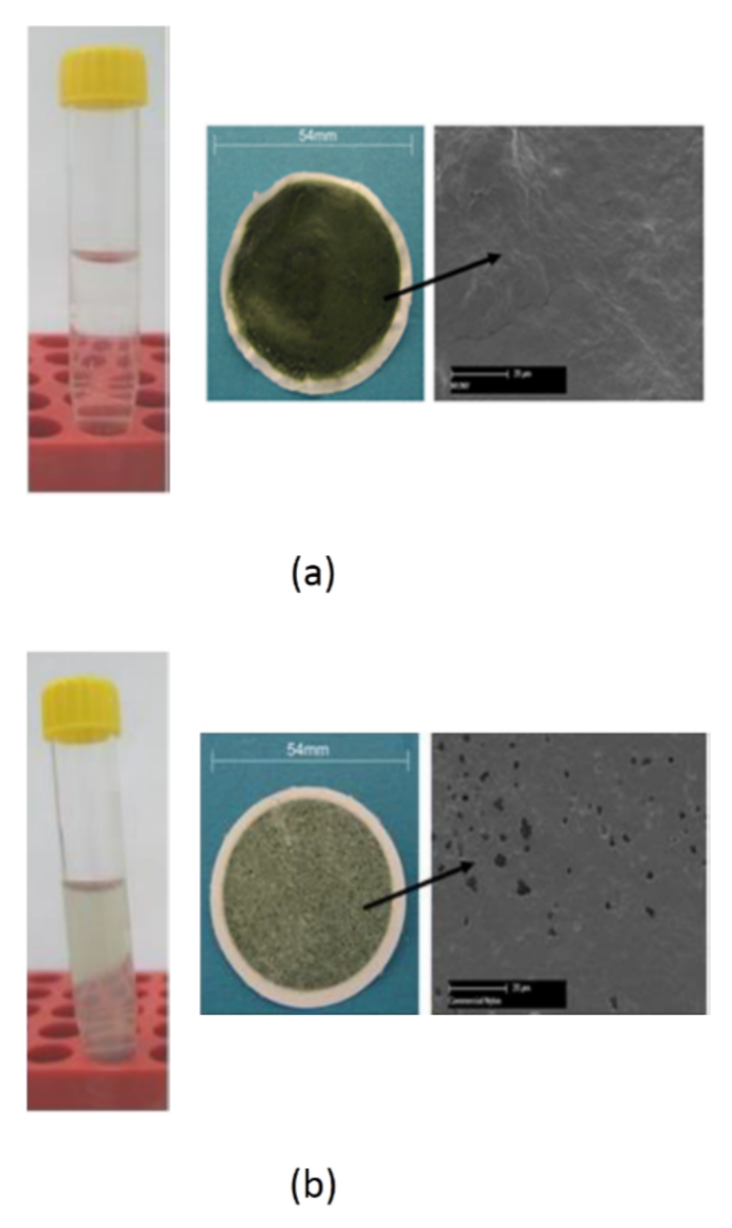 Polymers 13 02087 g005