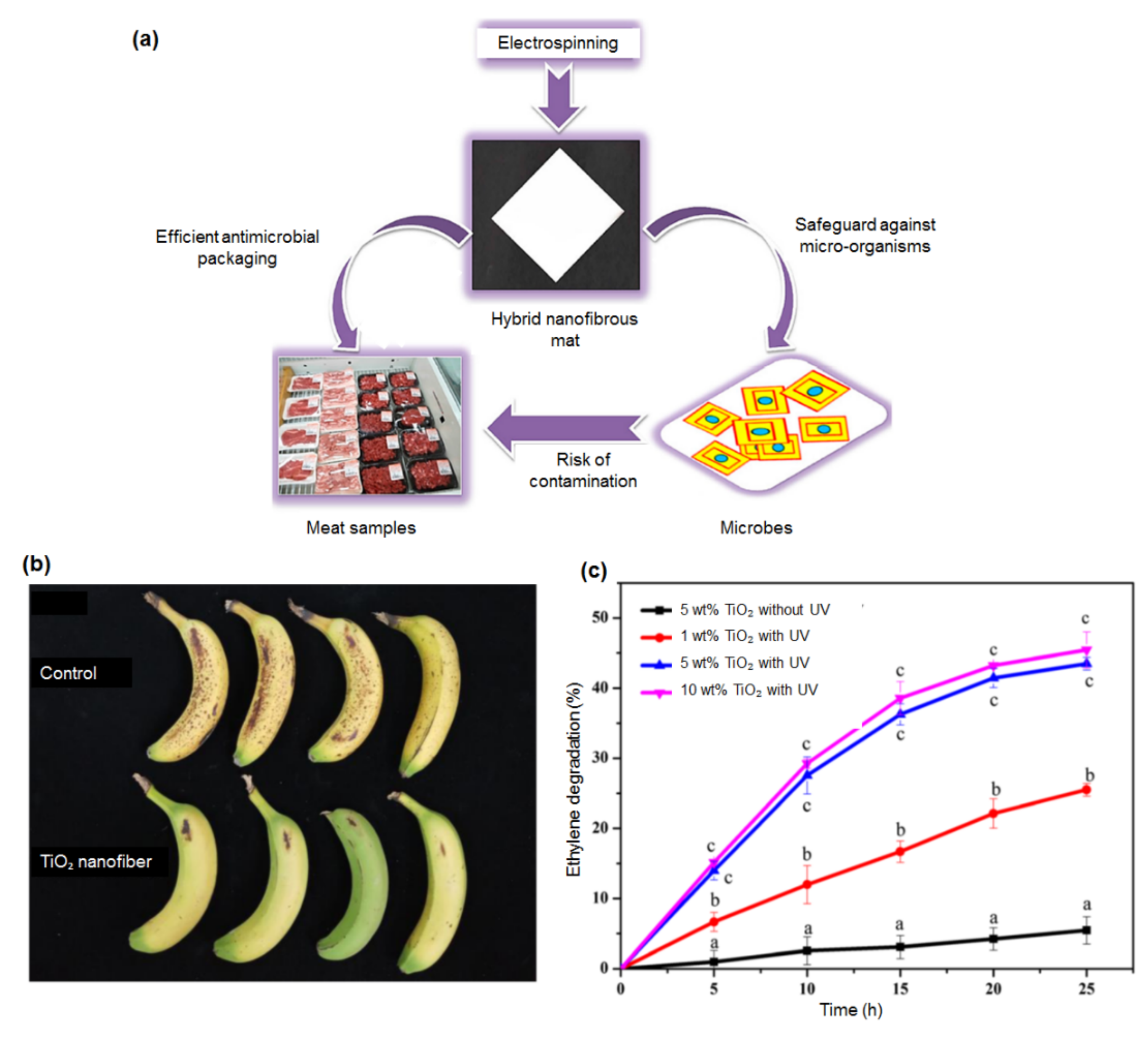 Polymers 13 02087 g007