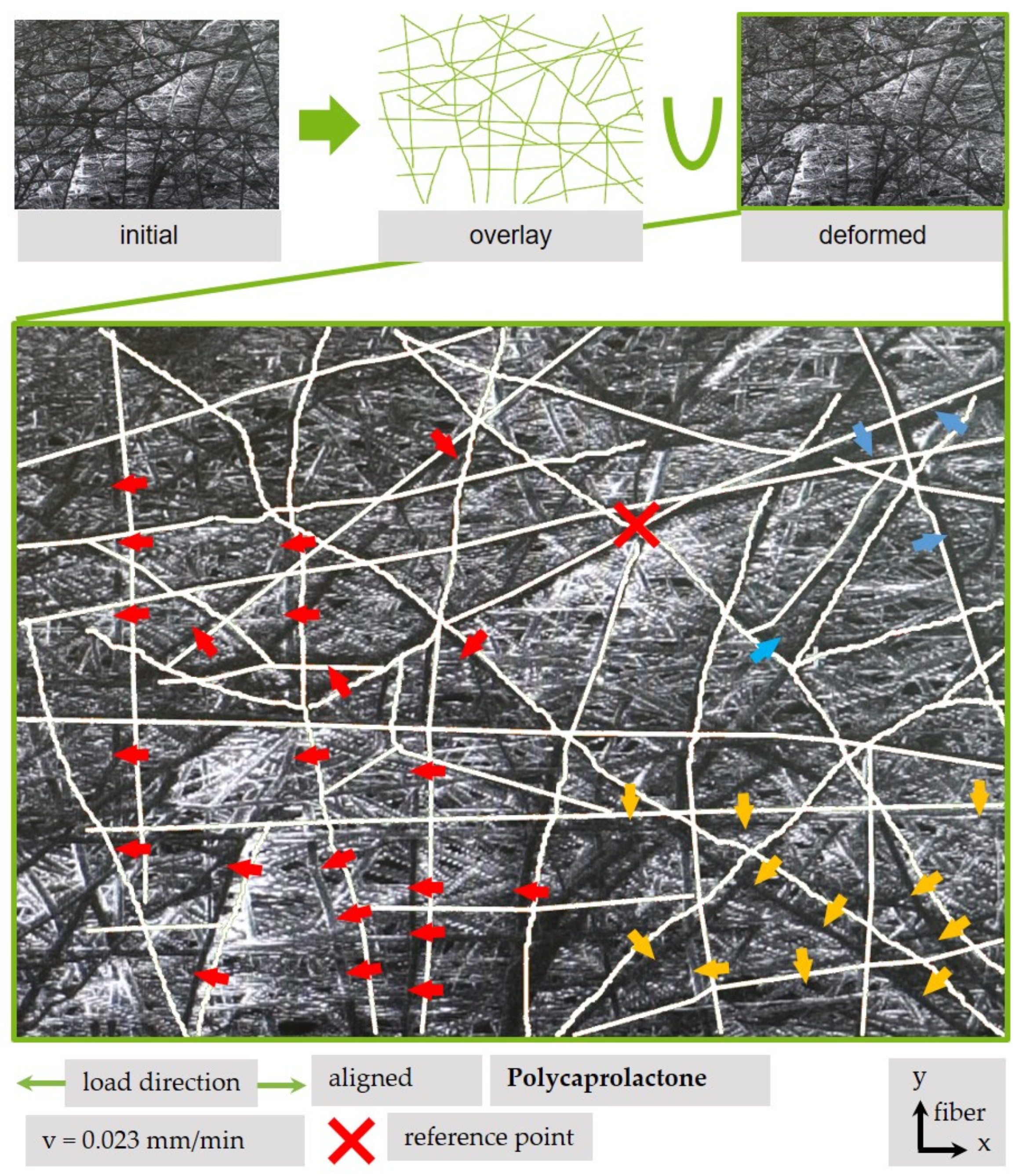 Polymers 13 02090 g011