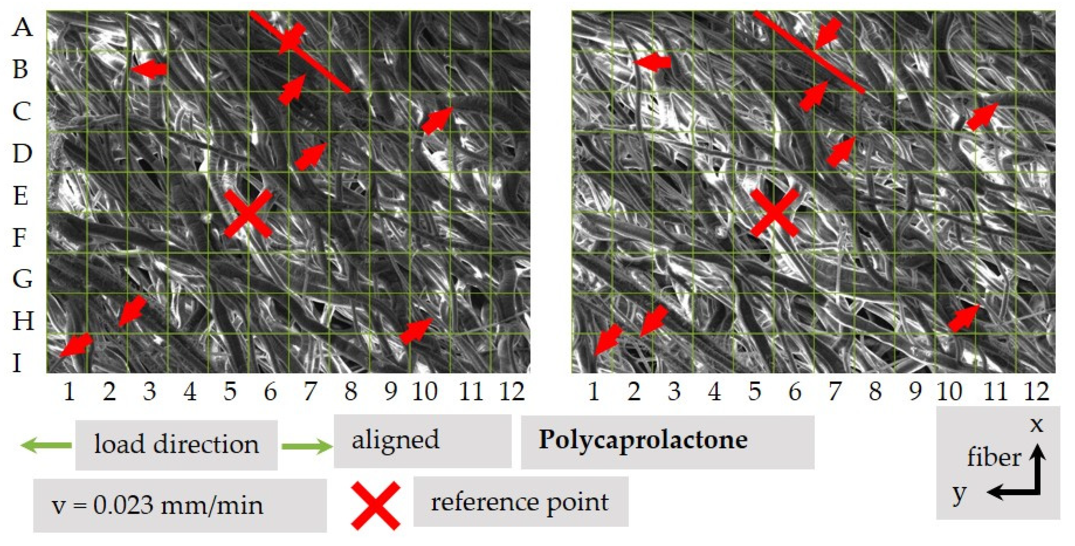 Polymers 13 02090 g012