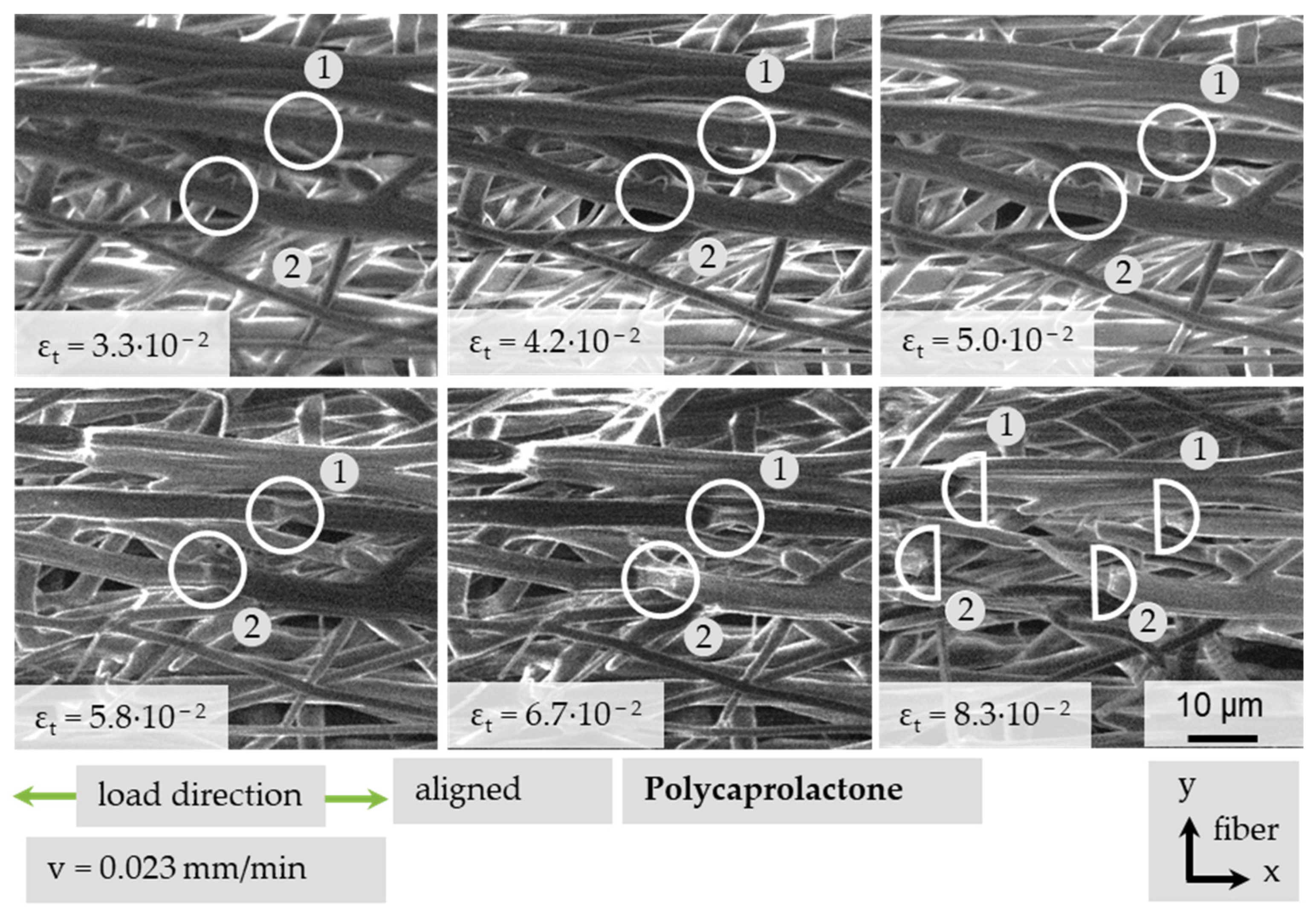 Polymers 13 02090 g013