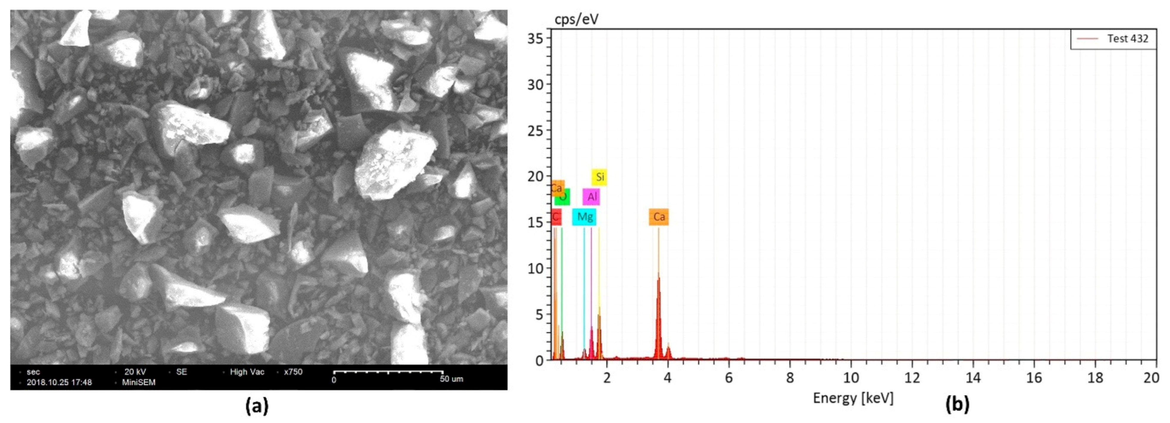 Polymers 13 02099 g008