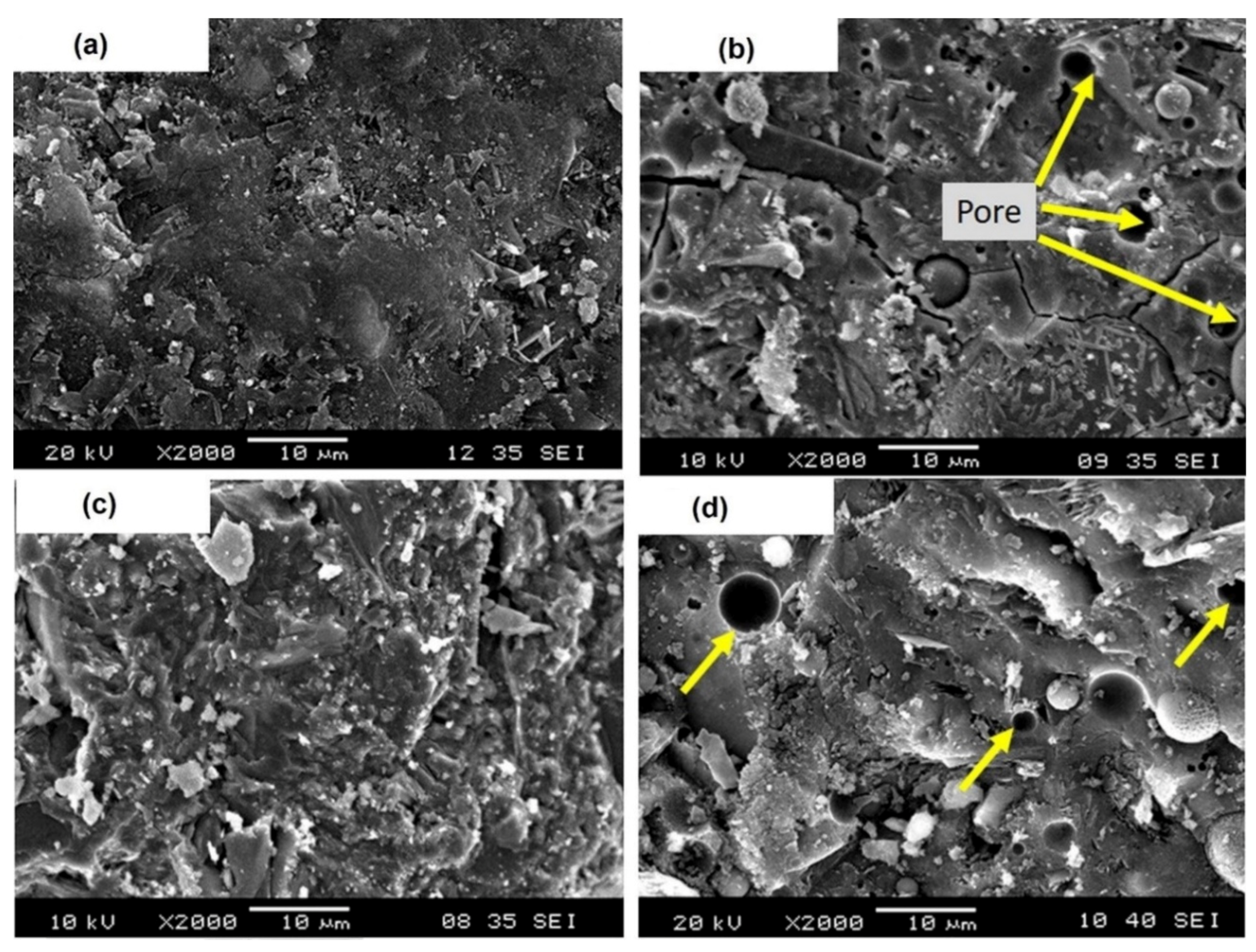 Polymers 13 02099 g010