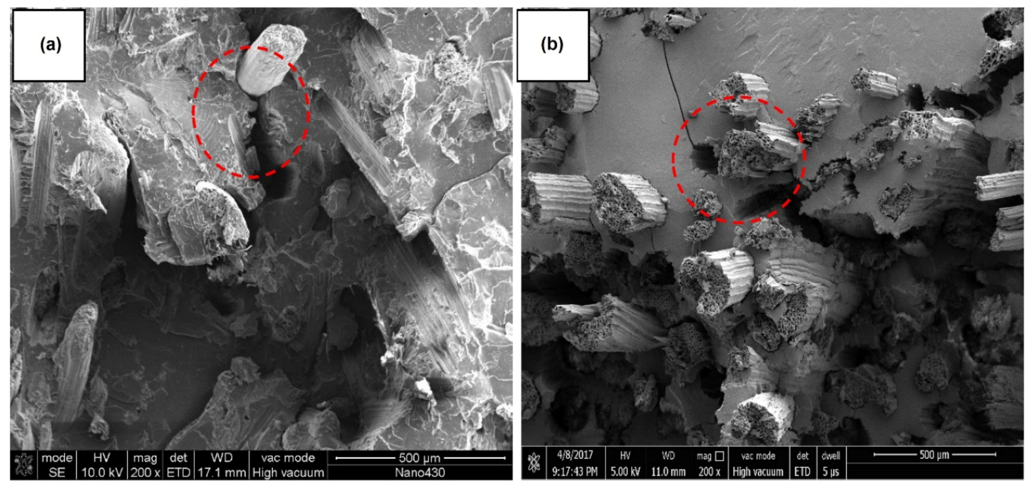 Polymers 13 02099 g012