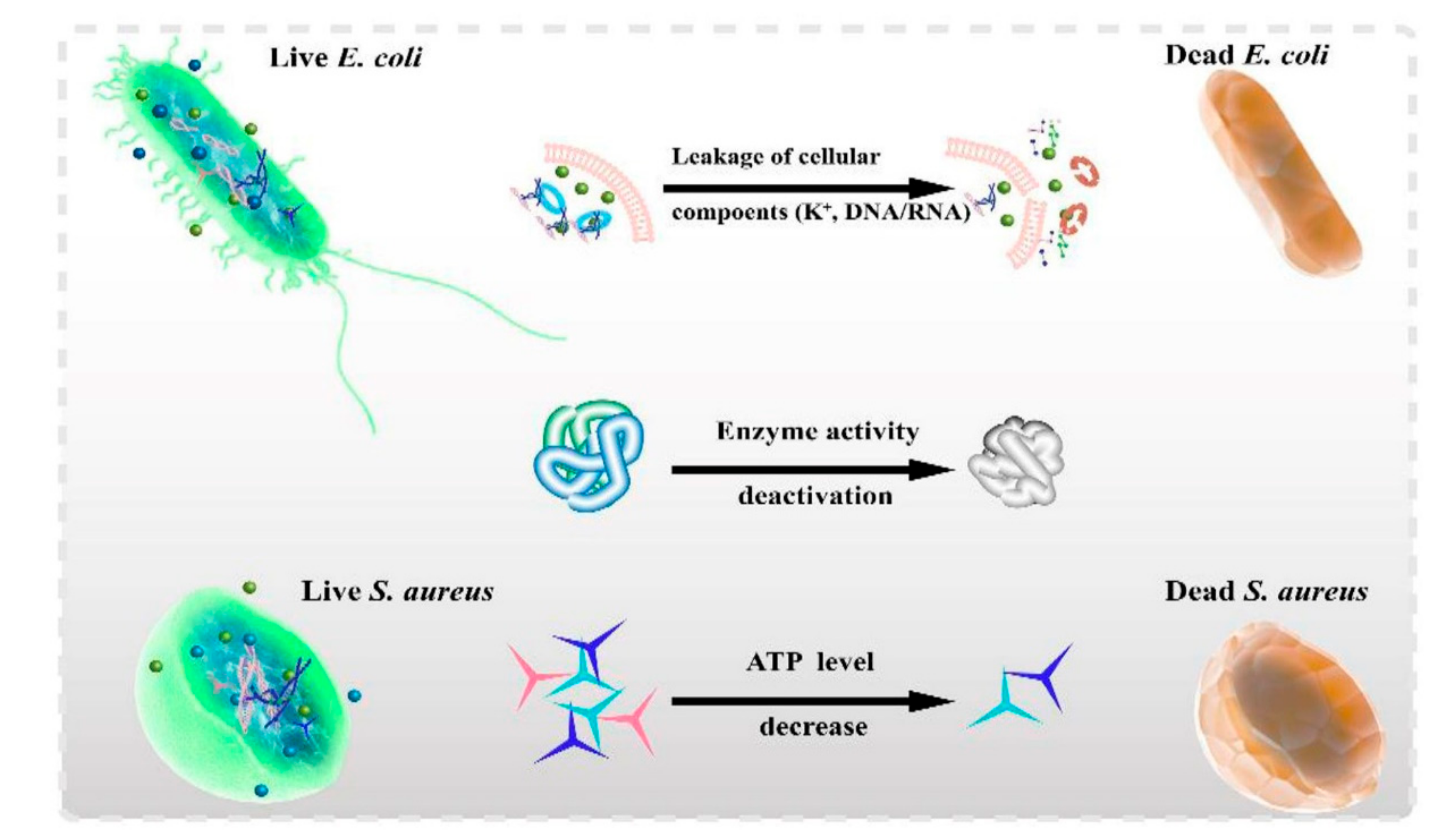 Polymers 13 02100 g001