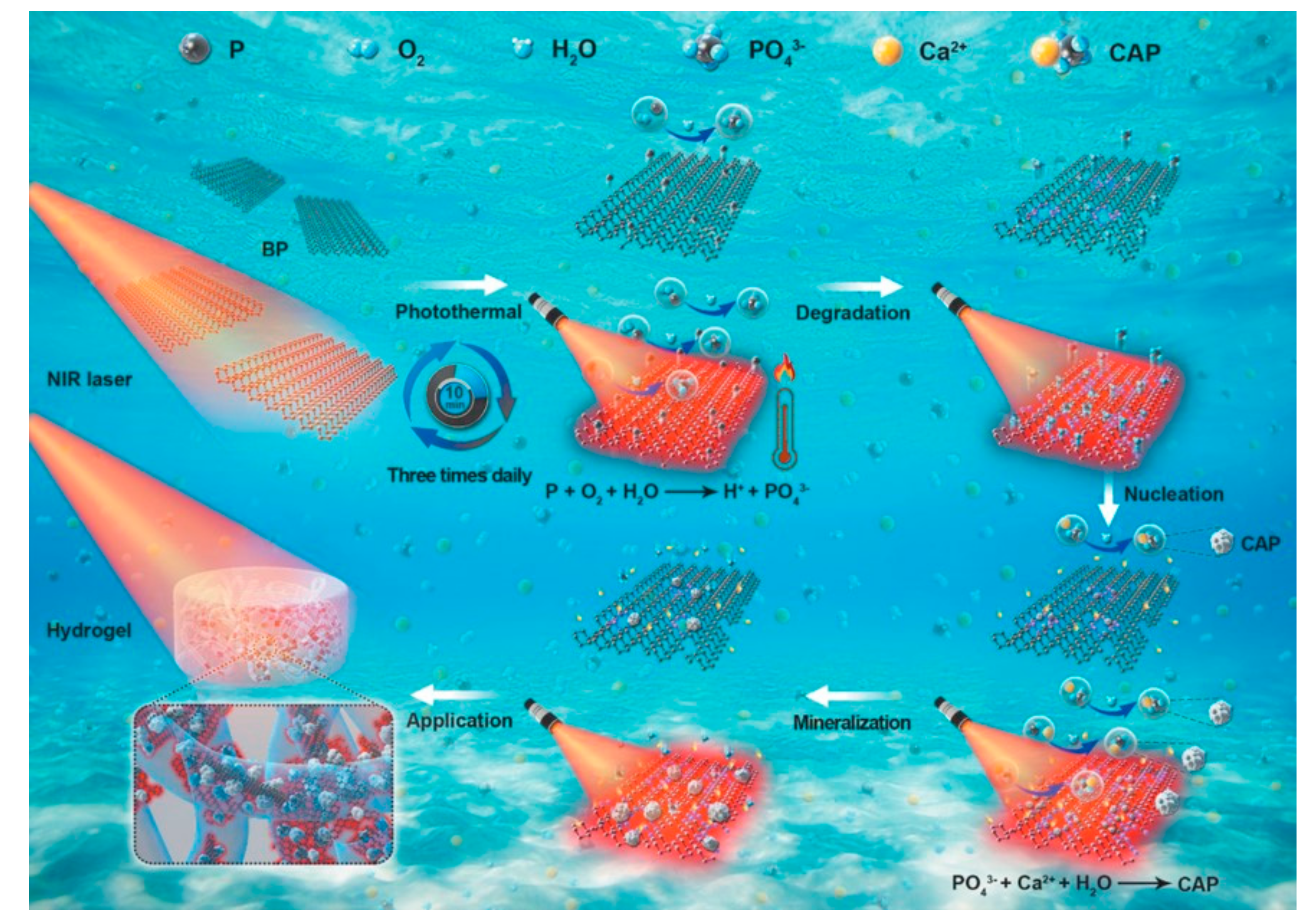 Polymers 13 02100 g004