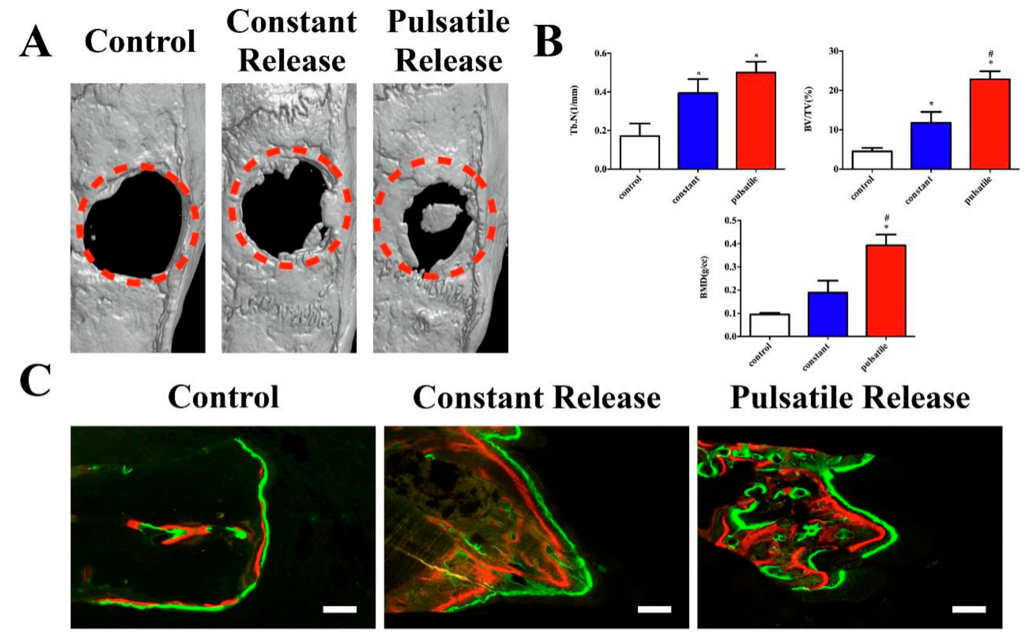 Polymers 13 02100 g007