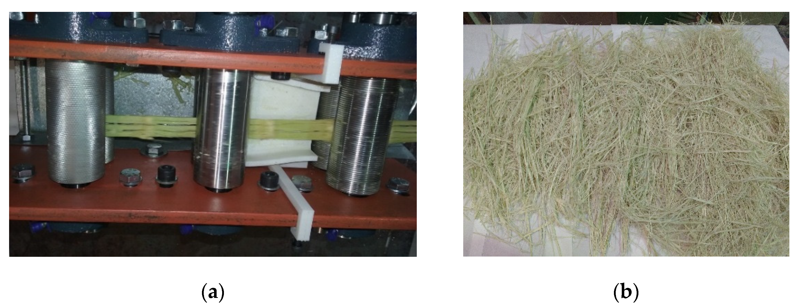 Polymers 13 02101 g002