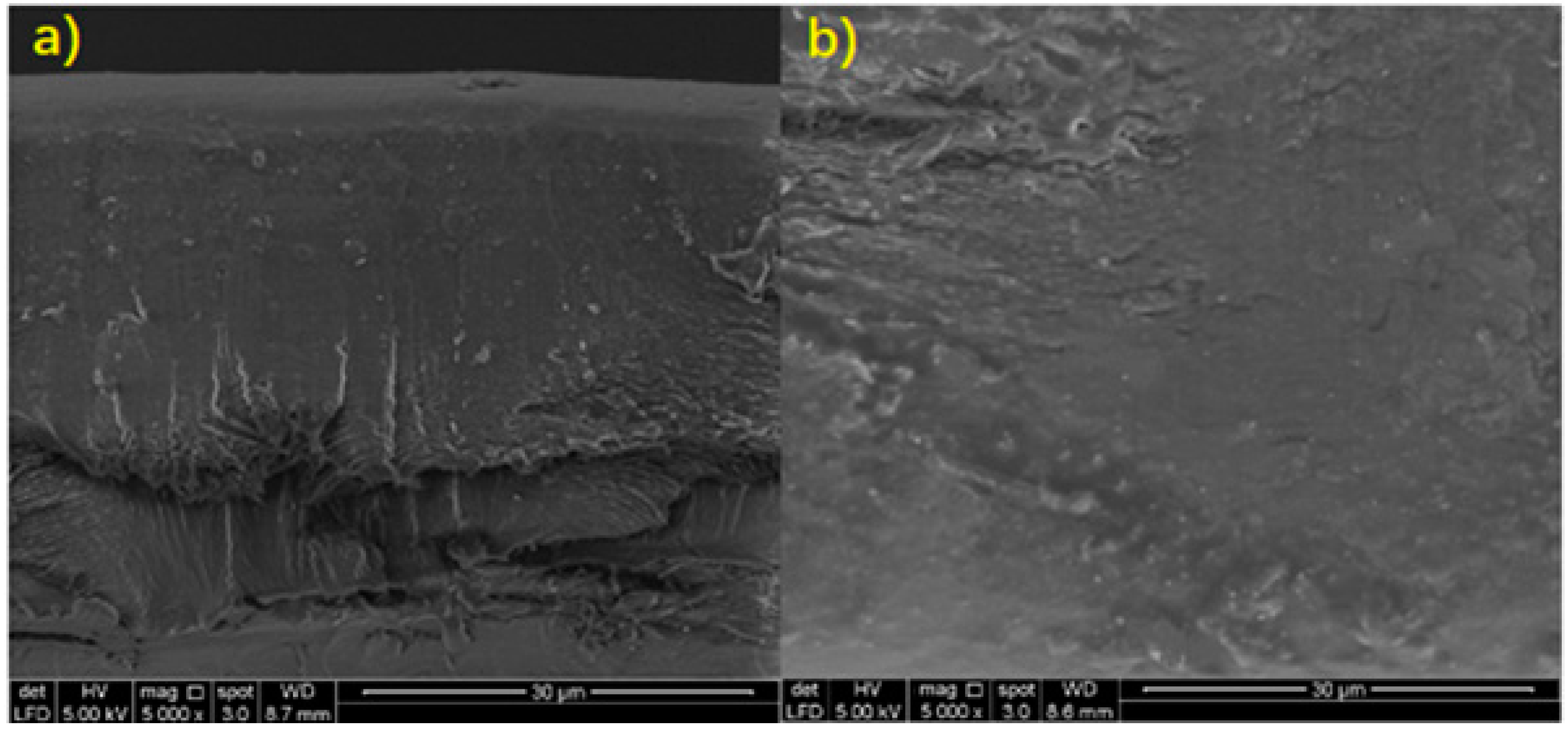 Polymers 13 02103 g005