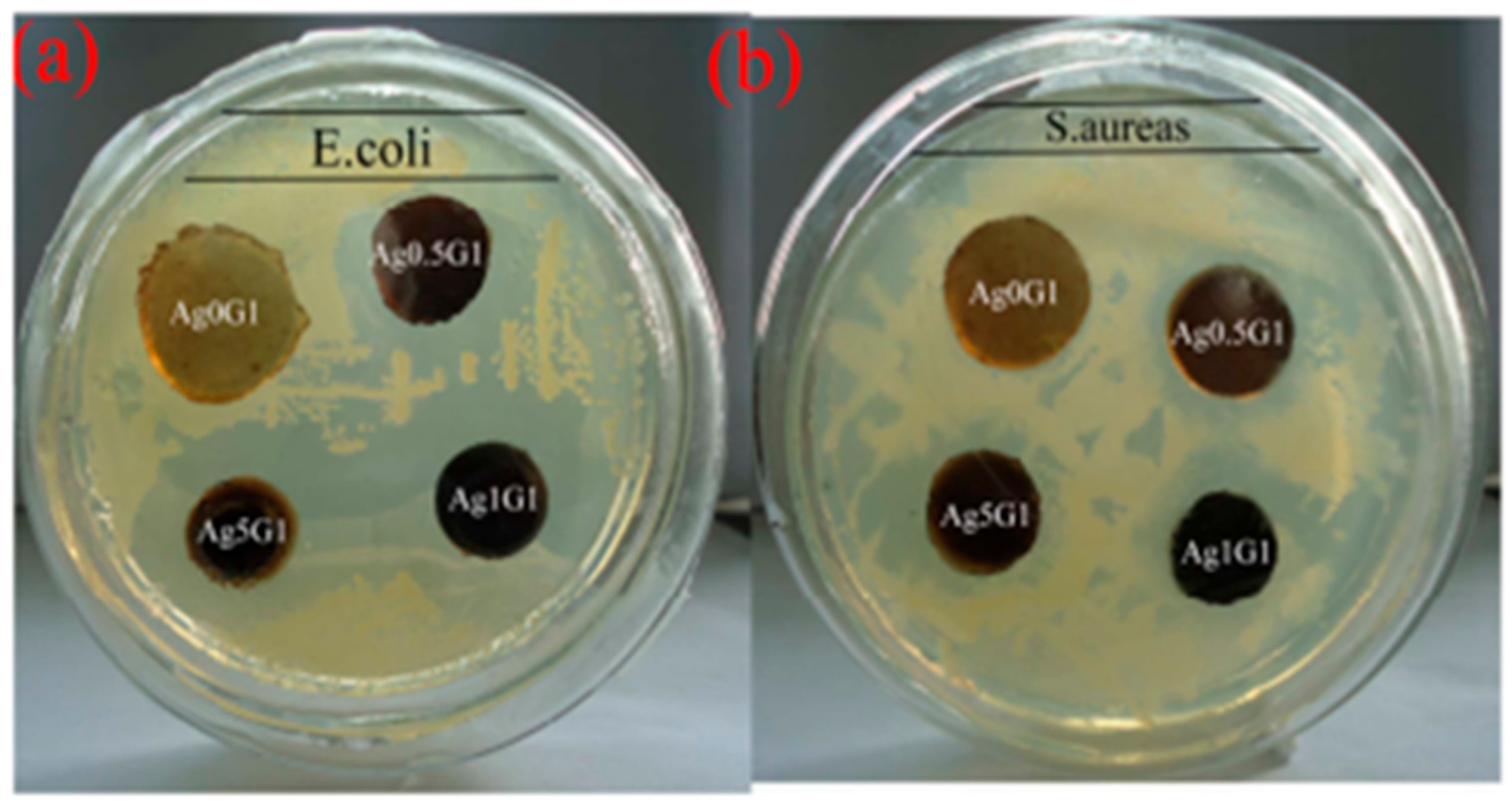 Polymers Free FullText Antibacterial Activity of Polymer