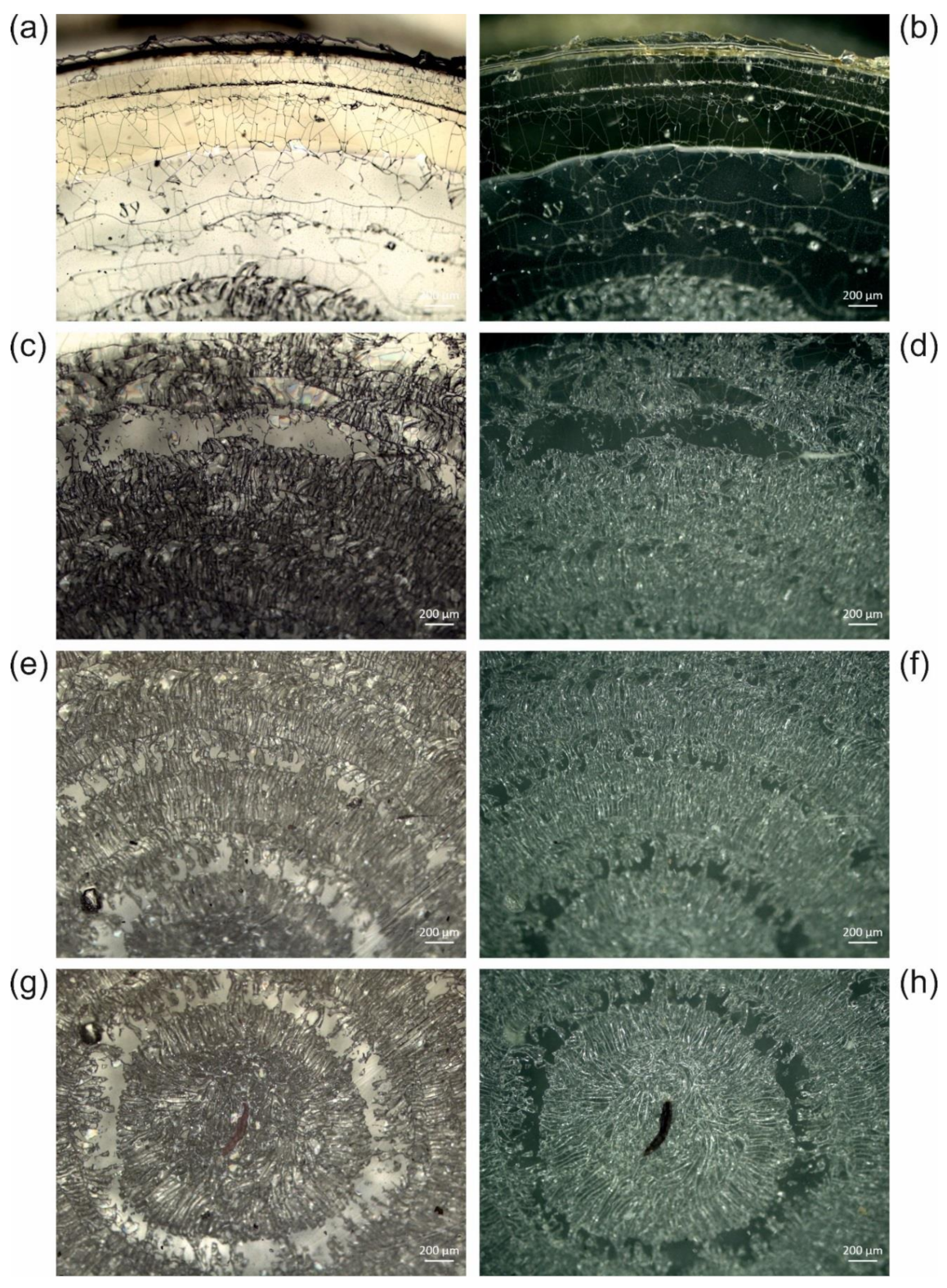 Polymers 13 02112 g007