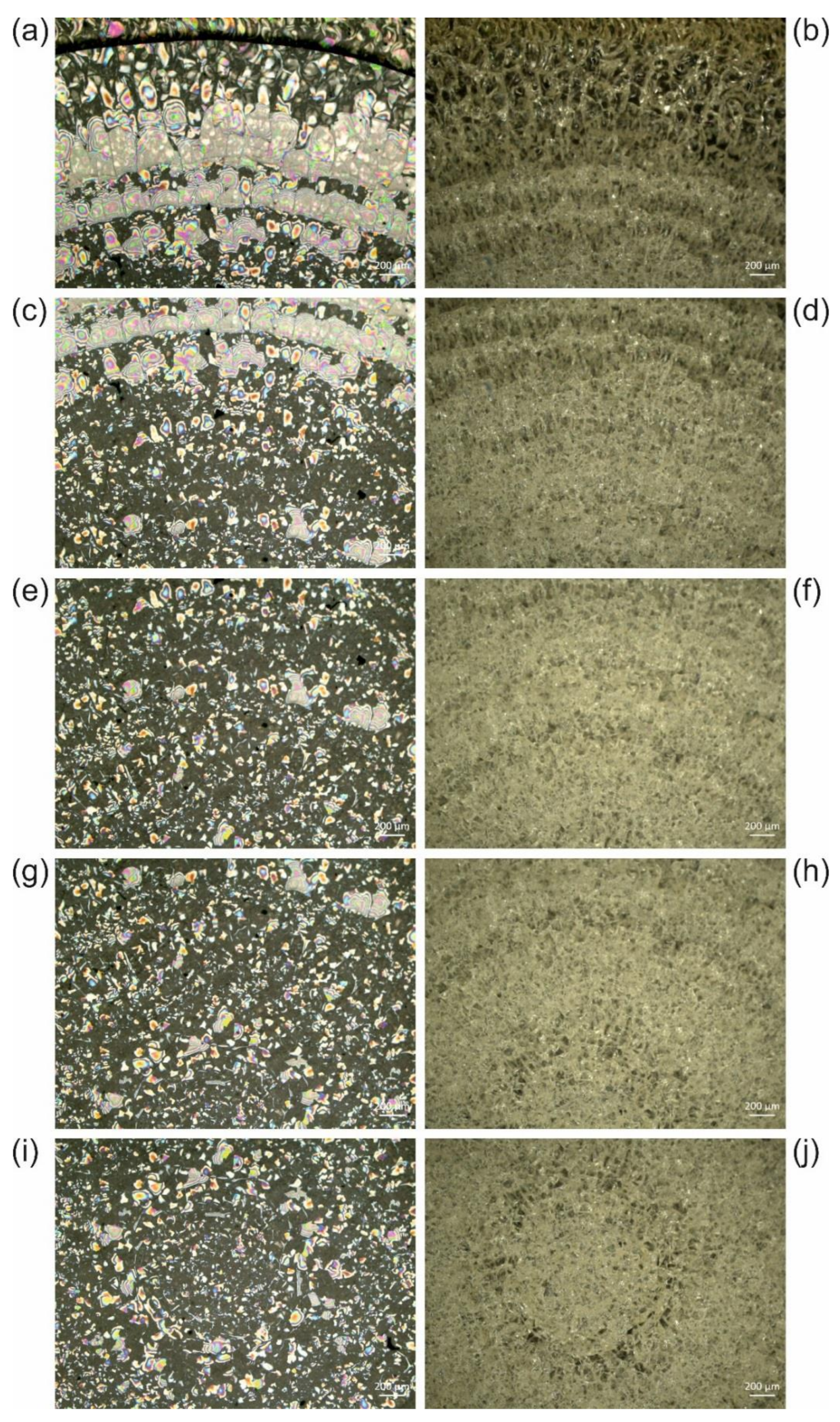 Polymers 13 02112 g008