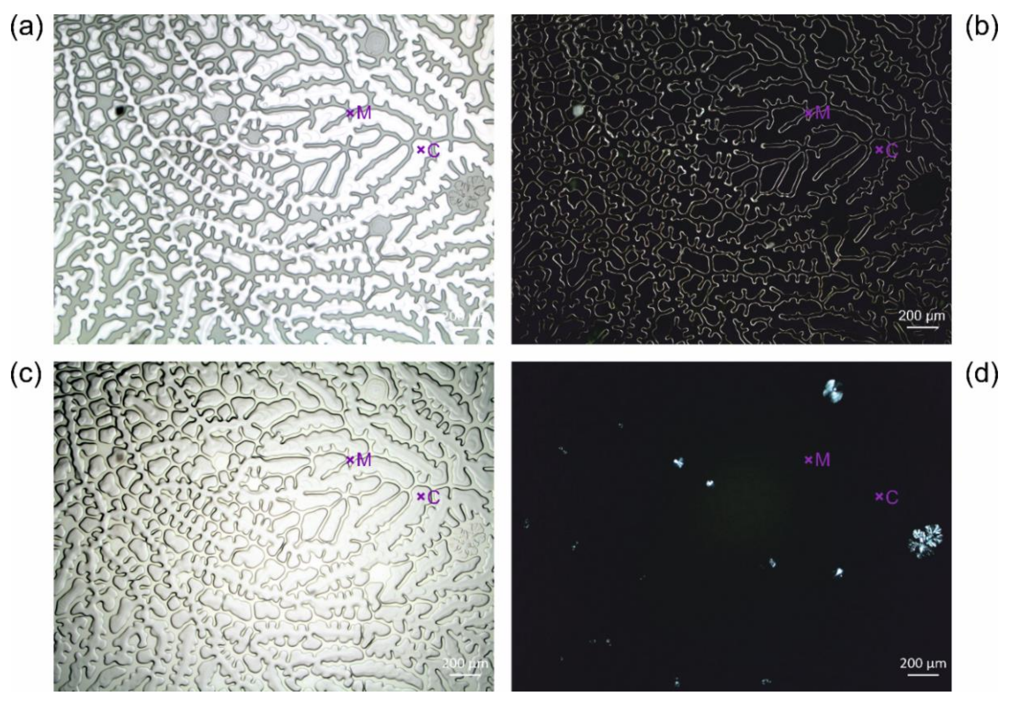 Polymers 13 02112 g016