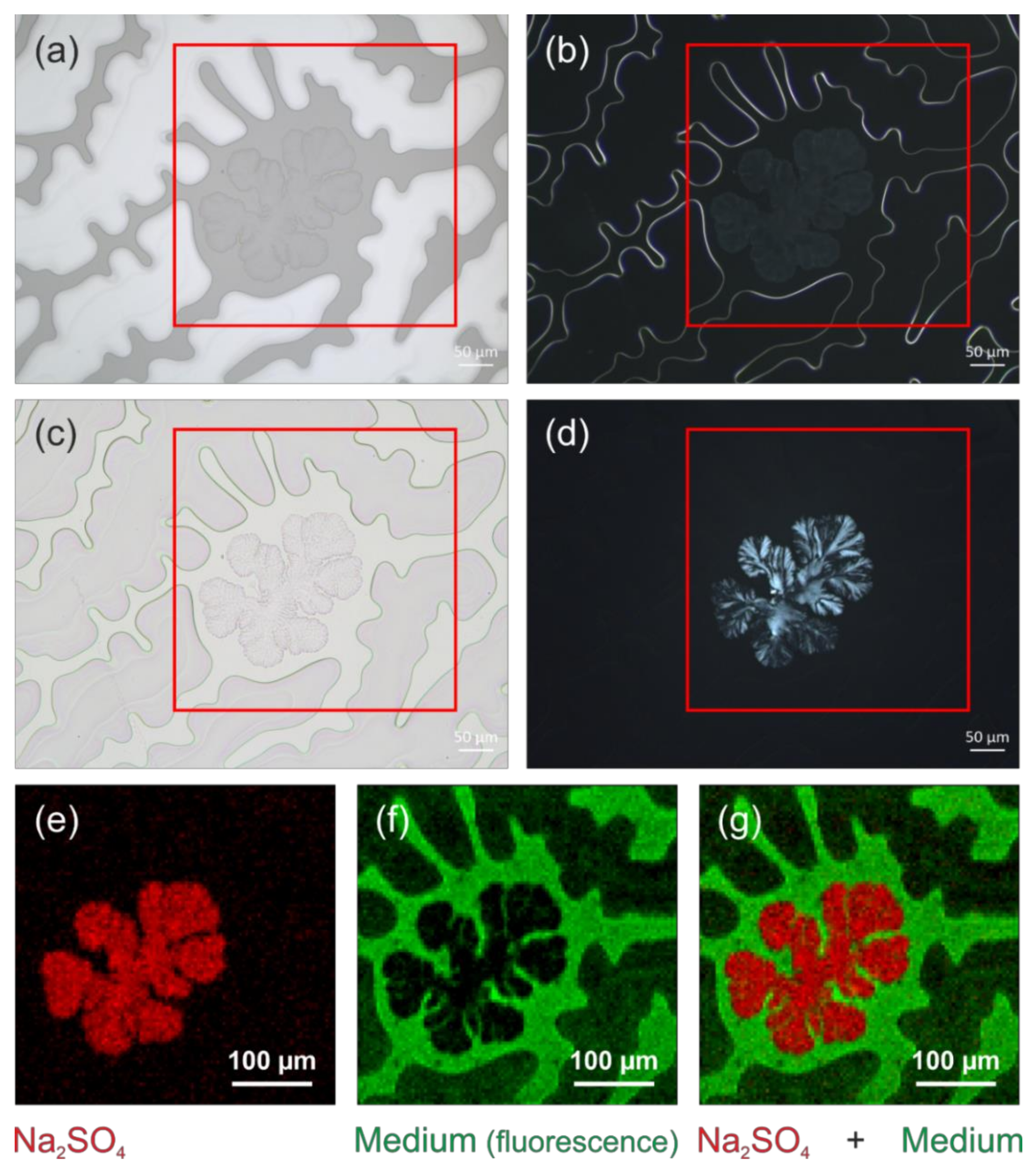 Polymers 13 02112 g018