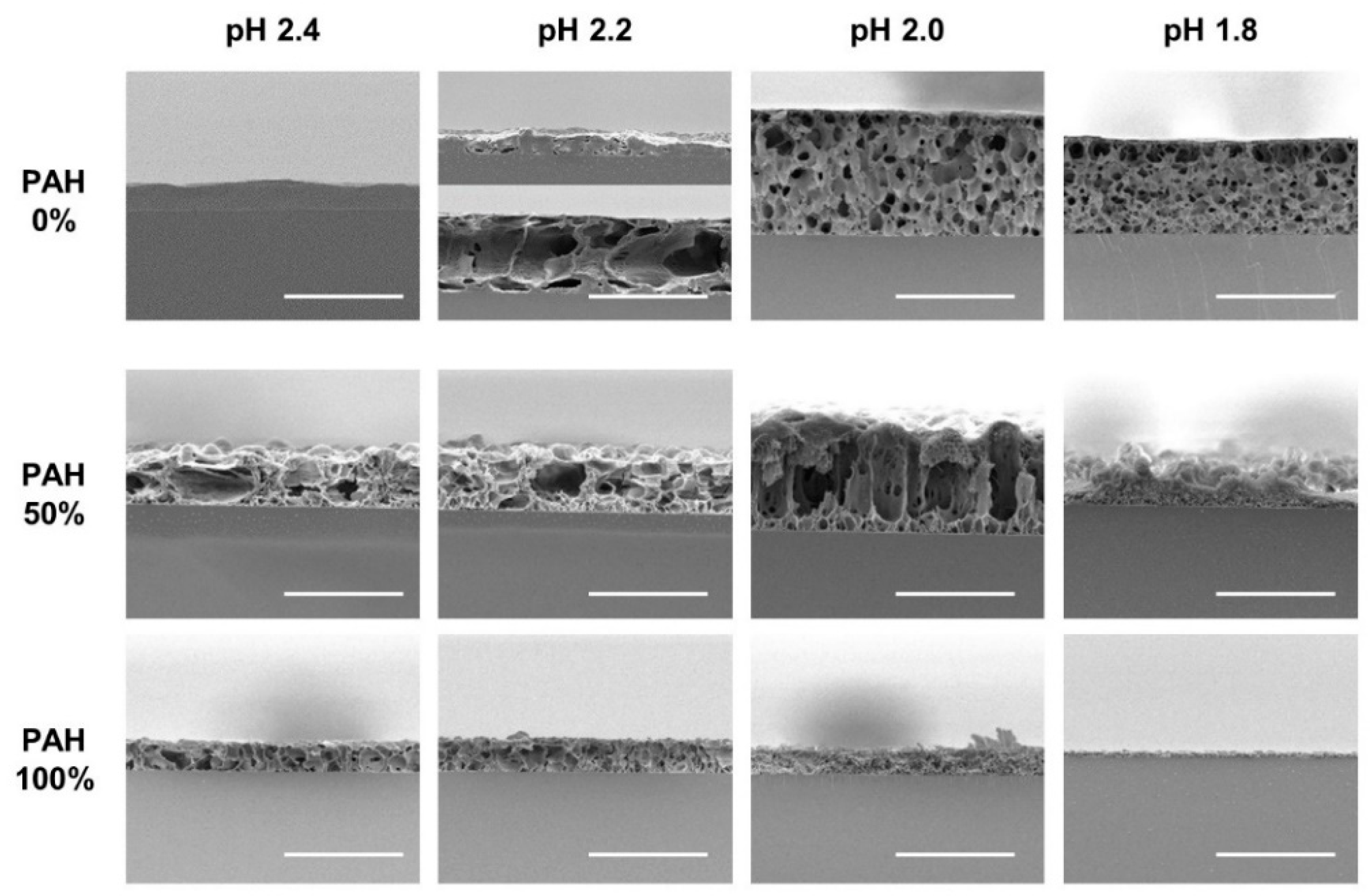 Polymers 13 02116 g006