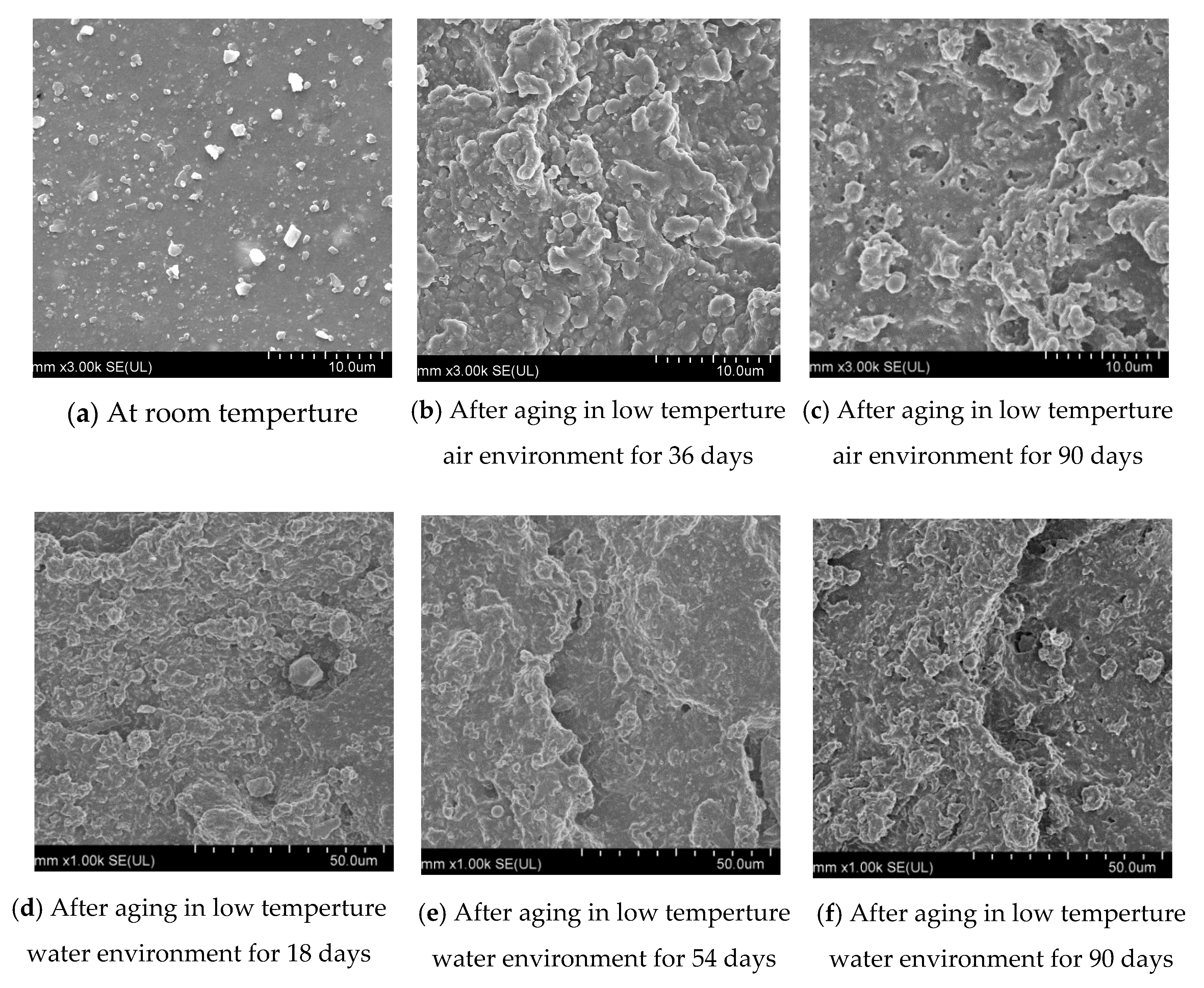 Polymers 13 02119 g007 550