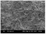 Polymers 13 02120 i008