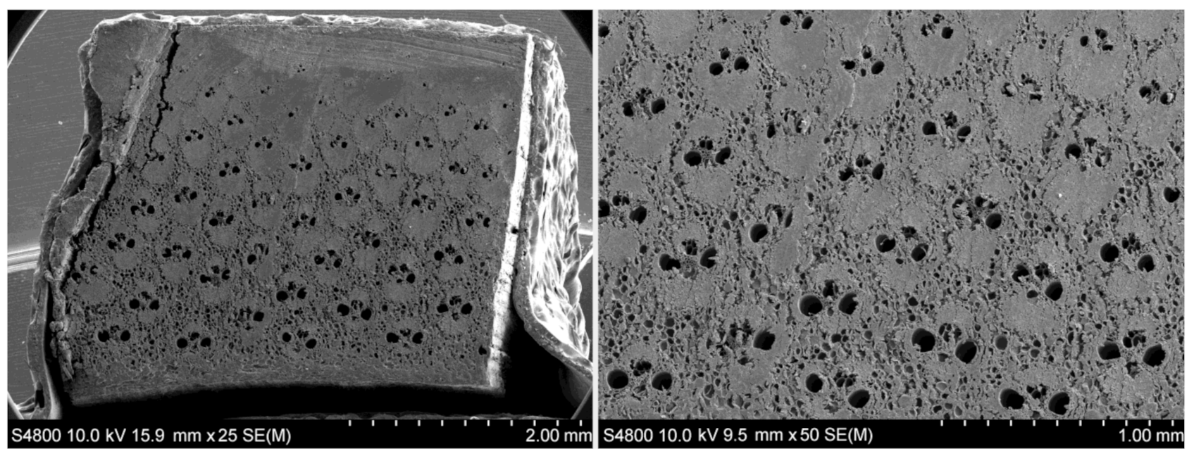 Polymers 13 02126 g005