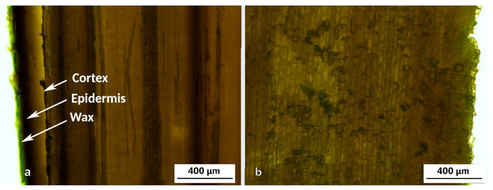 Polymers 13 02126 g007
