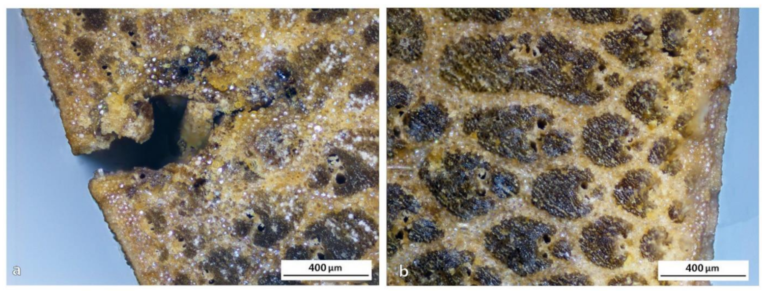 Polymers 13 02126 g012