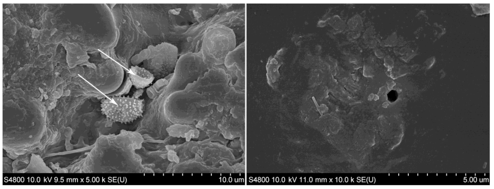 Polymers 13 02126 g013
