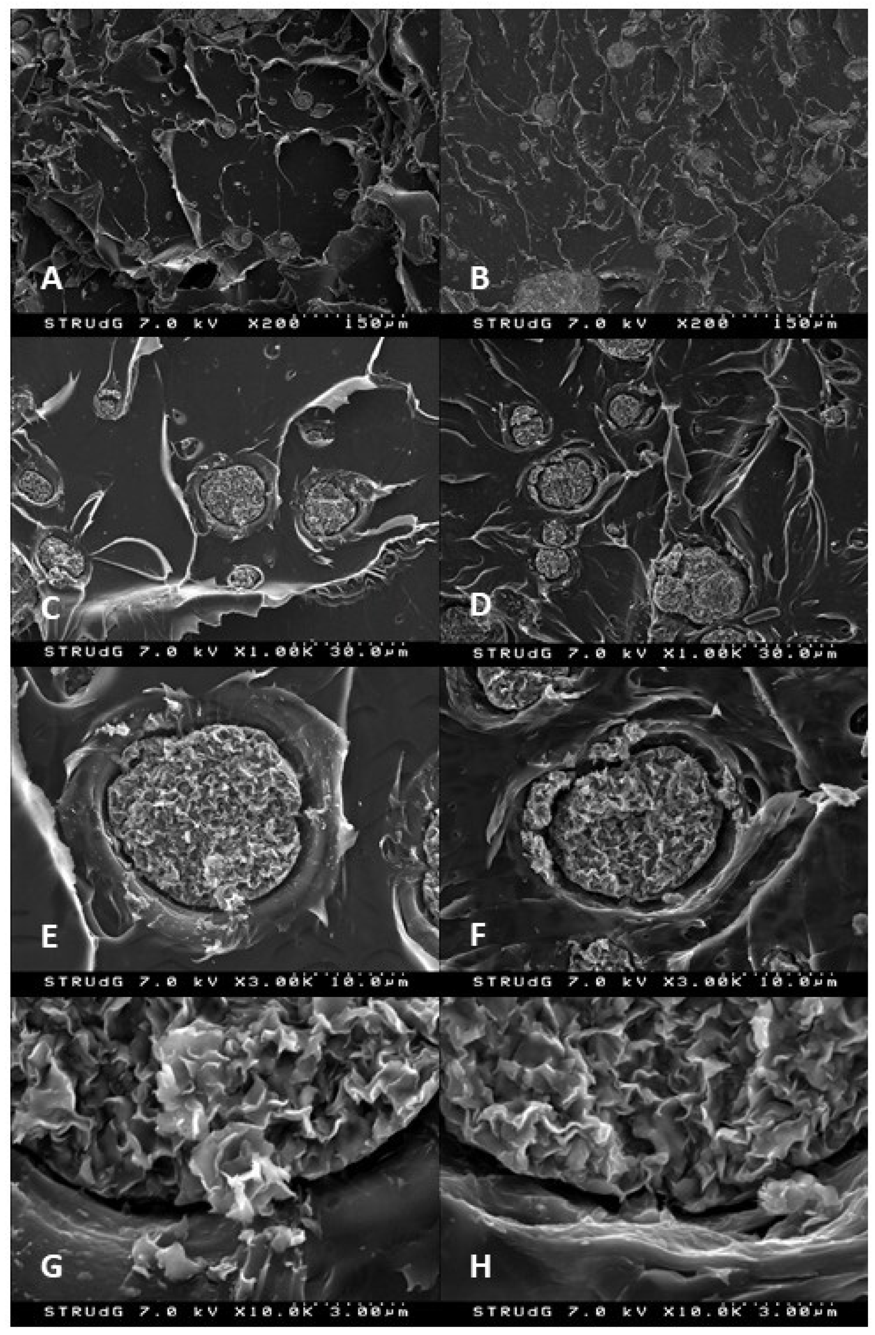 Polymers 13 02133 g002