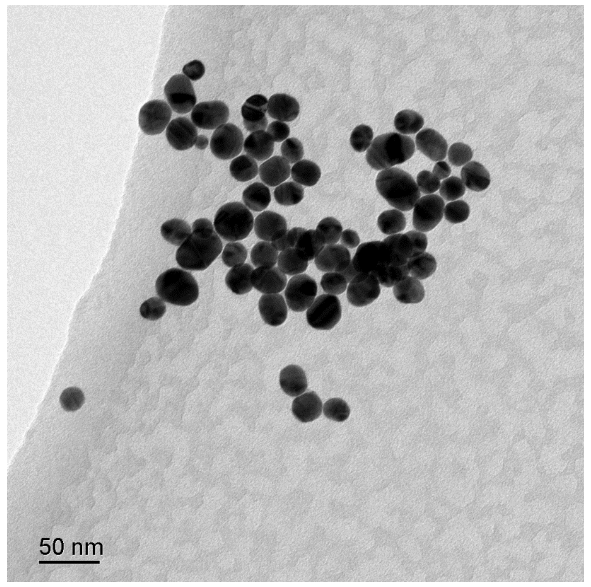 Polymers 13 02142 g001 550