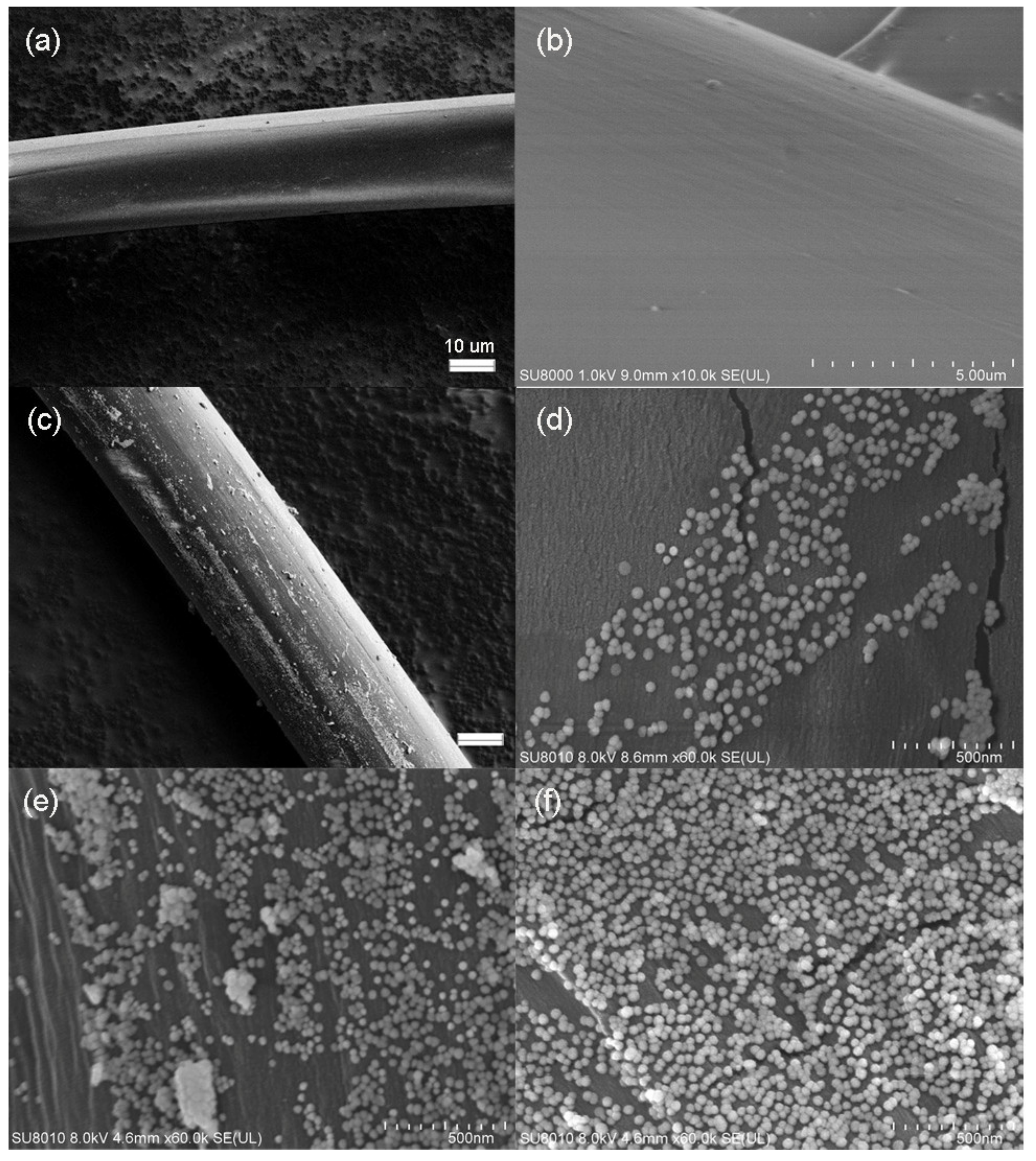 Polymers 13 02142 g002 550
