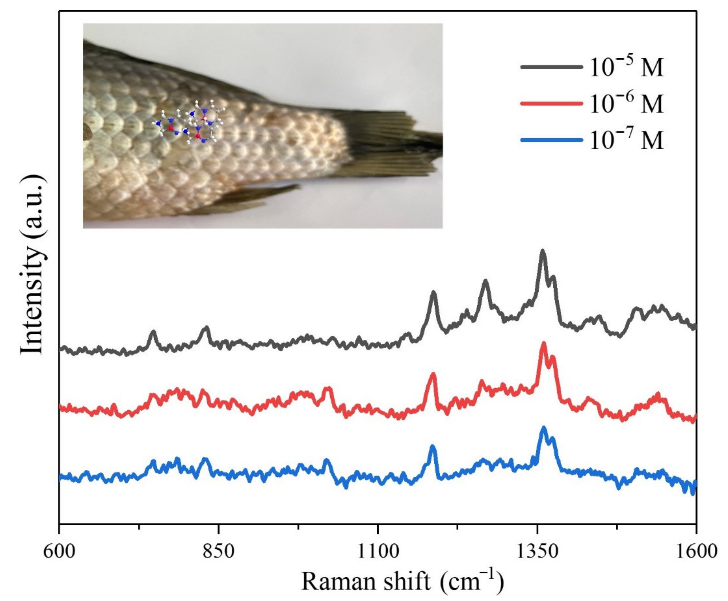 Polymers 13 02142 g007 550