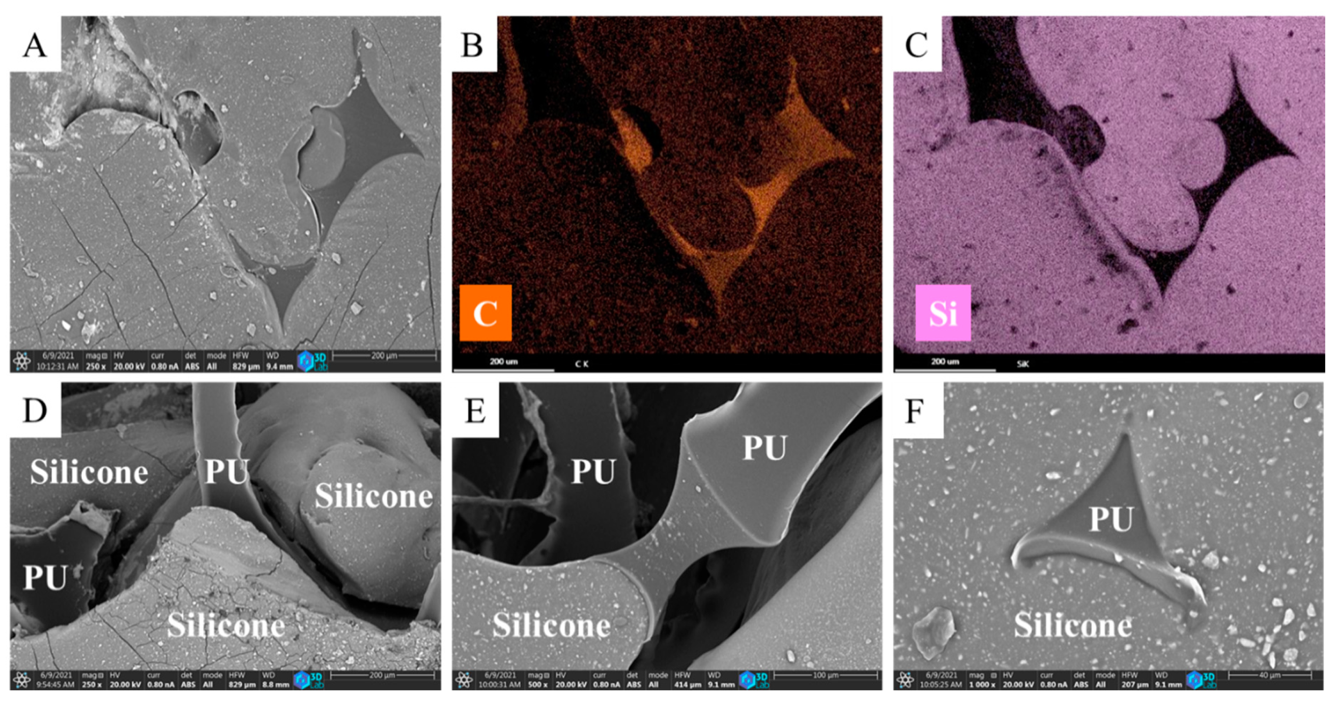 Polymers 13 02144 g003 Polymers 13 02144 g003