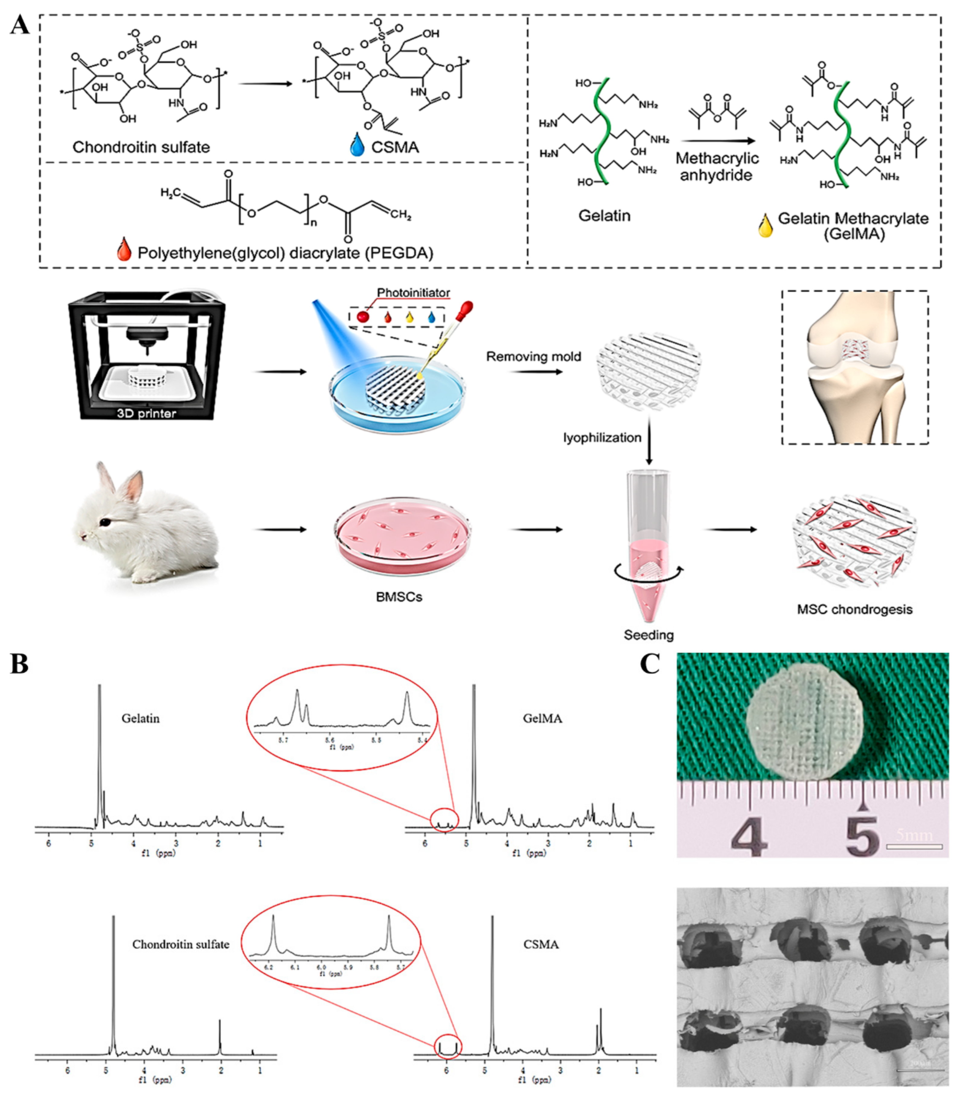 Polymers 13 02146 g001