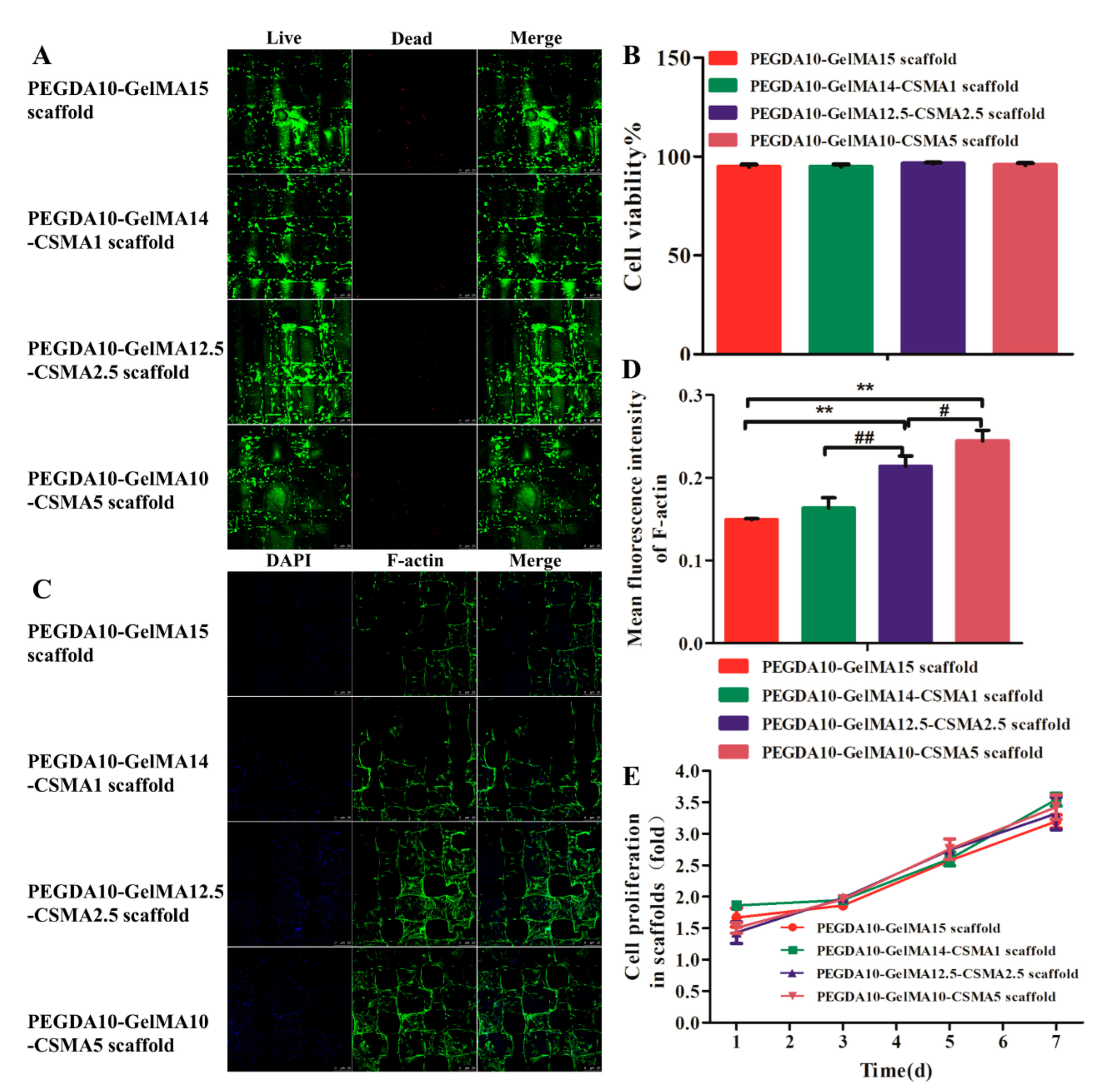 Polymers 13 02146 g003