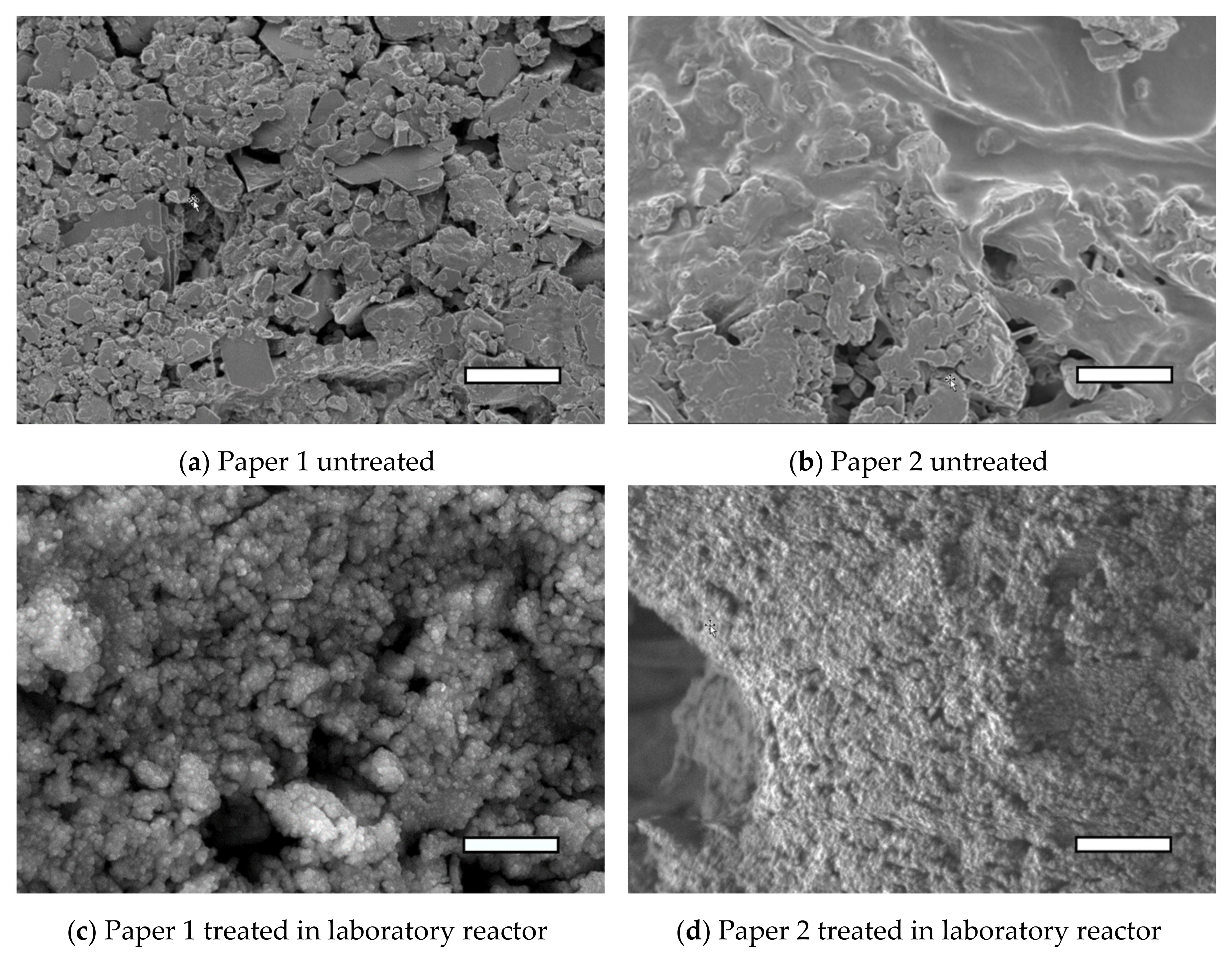 Polymers 13 02148 g002a Polymers 13 02148 g002a