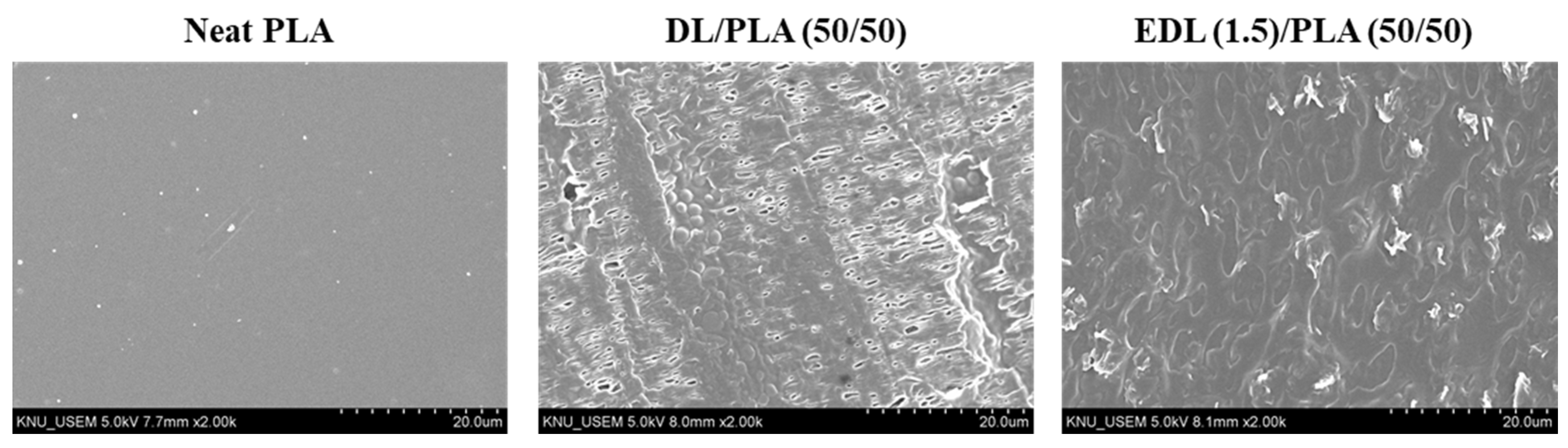 Polymers 13 02149 g003